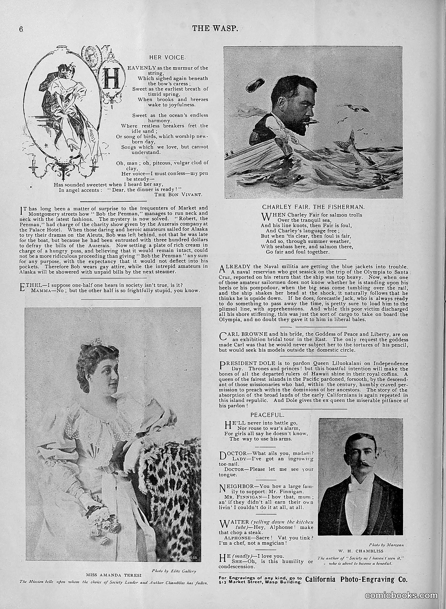 The Wasp — 1895 — page 513 of 1100