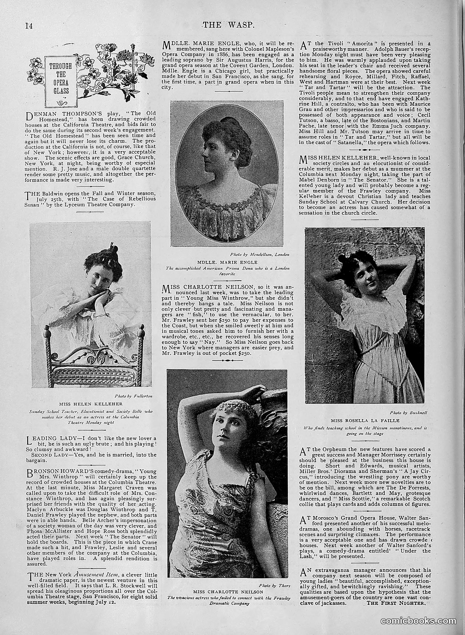 The Wasp — 1895 — page 521 of 1100