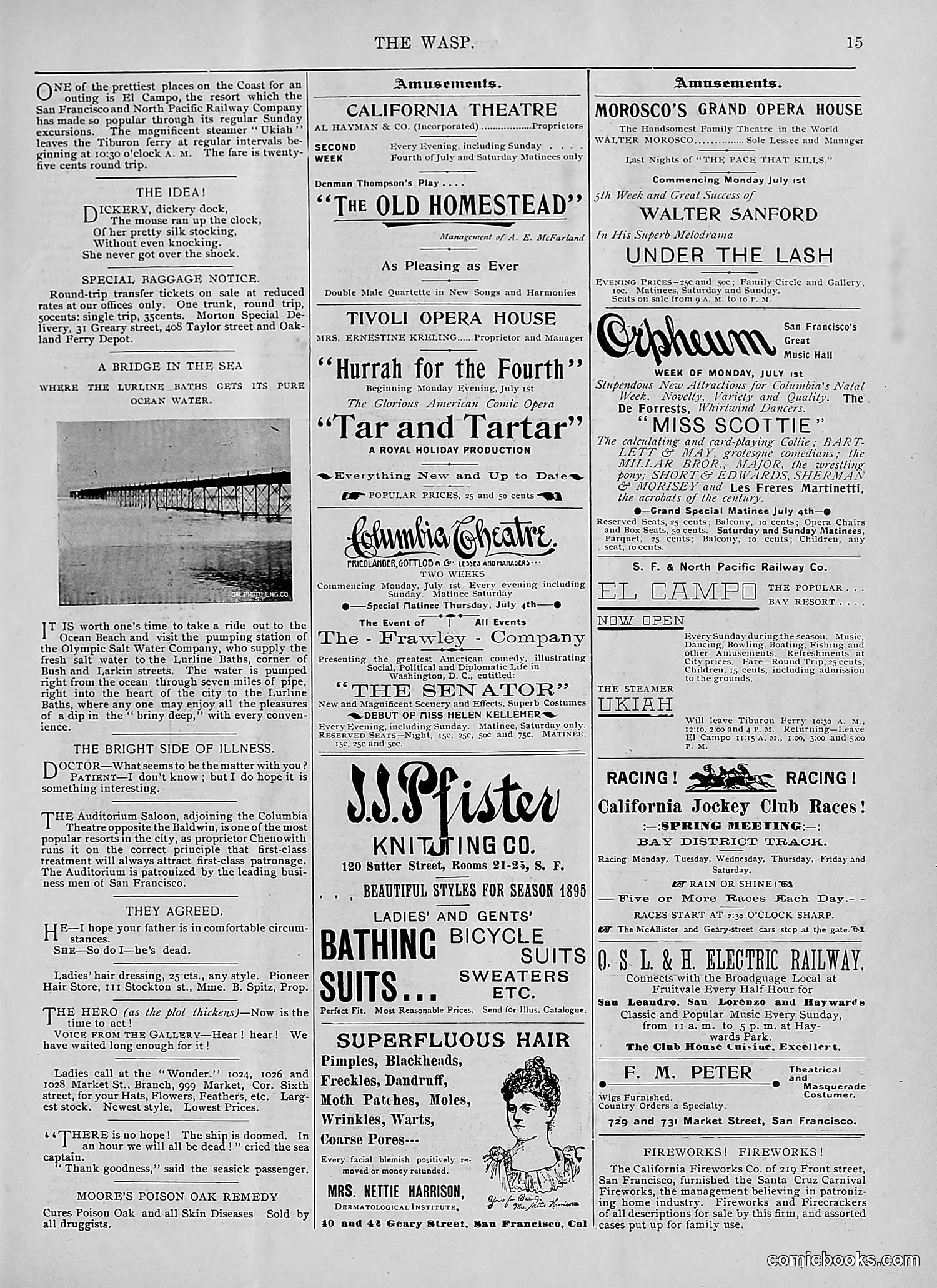The Wasp — 1895 — page 522 of 1100