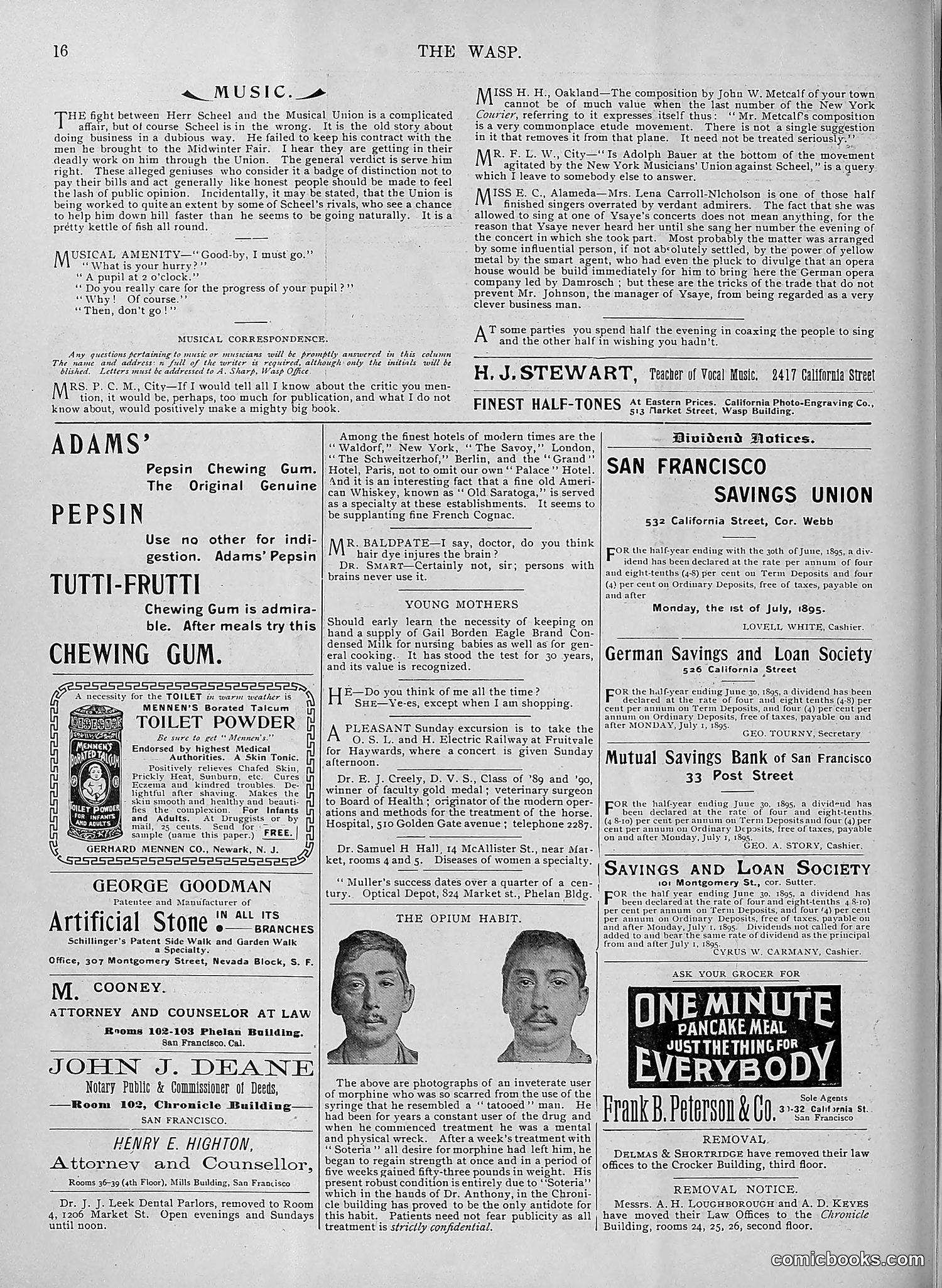 The Wasp — 1895 — page 523 of 1100