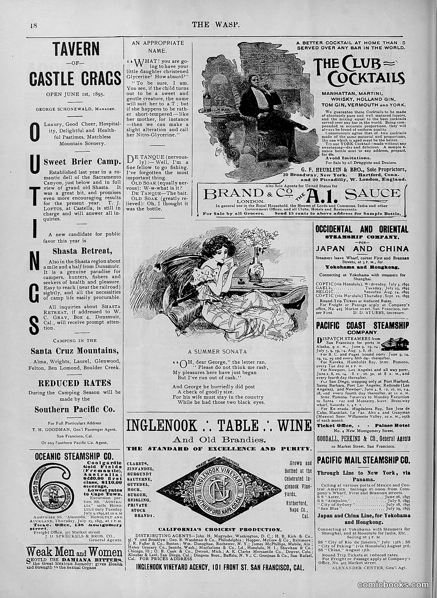 The Wasp — 1895 — page 525 of 1100