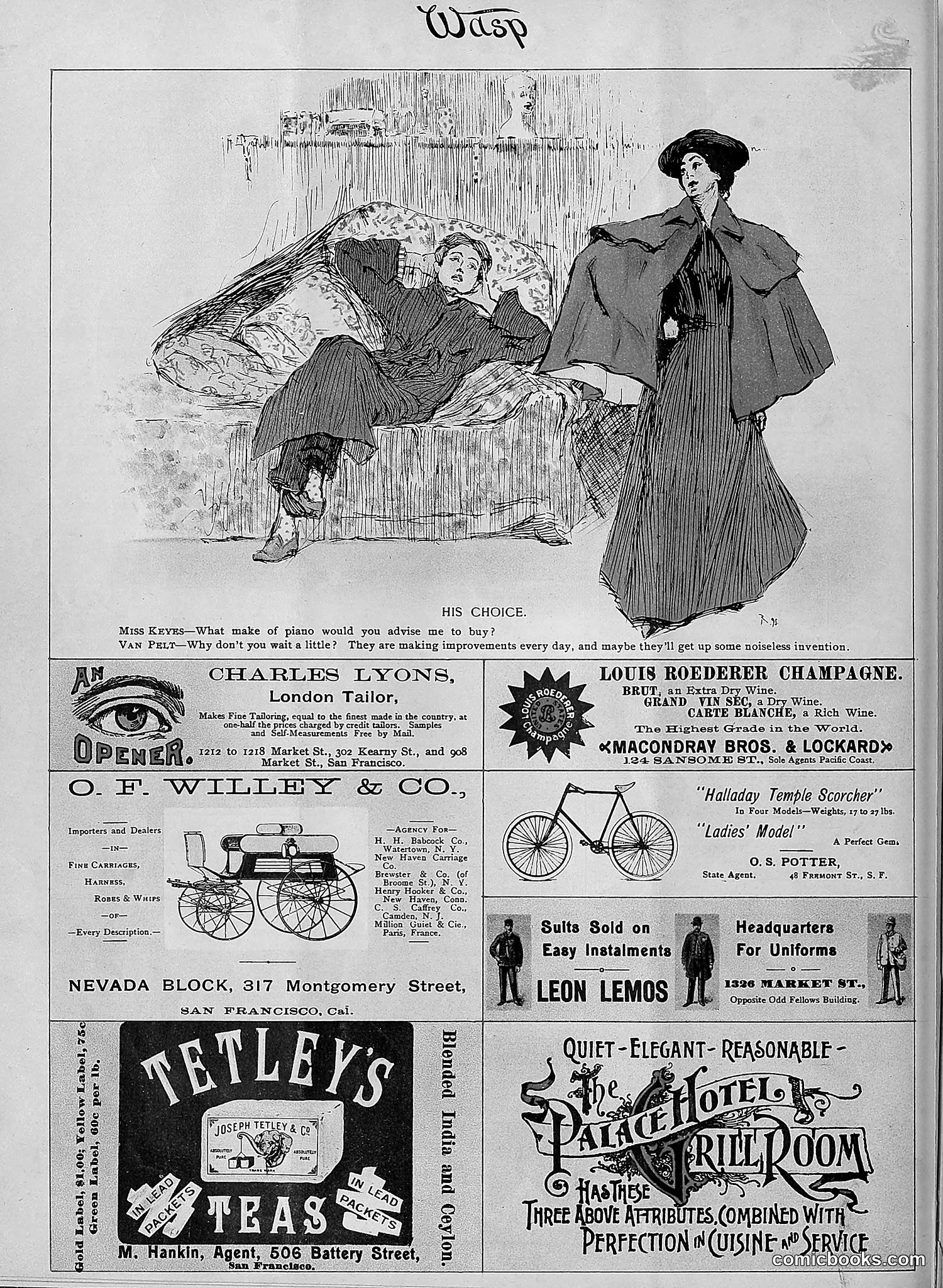 The Wasp — 1895 — page 527 of 1100