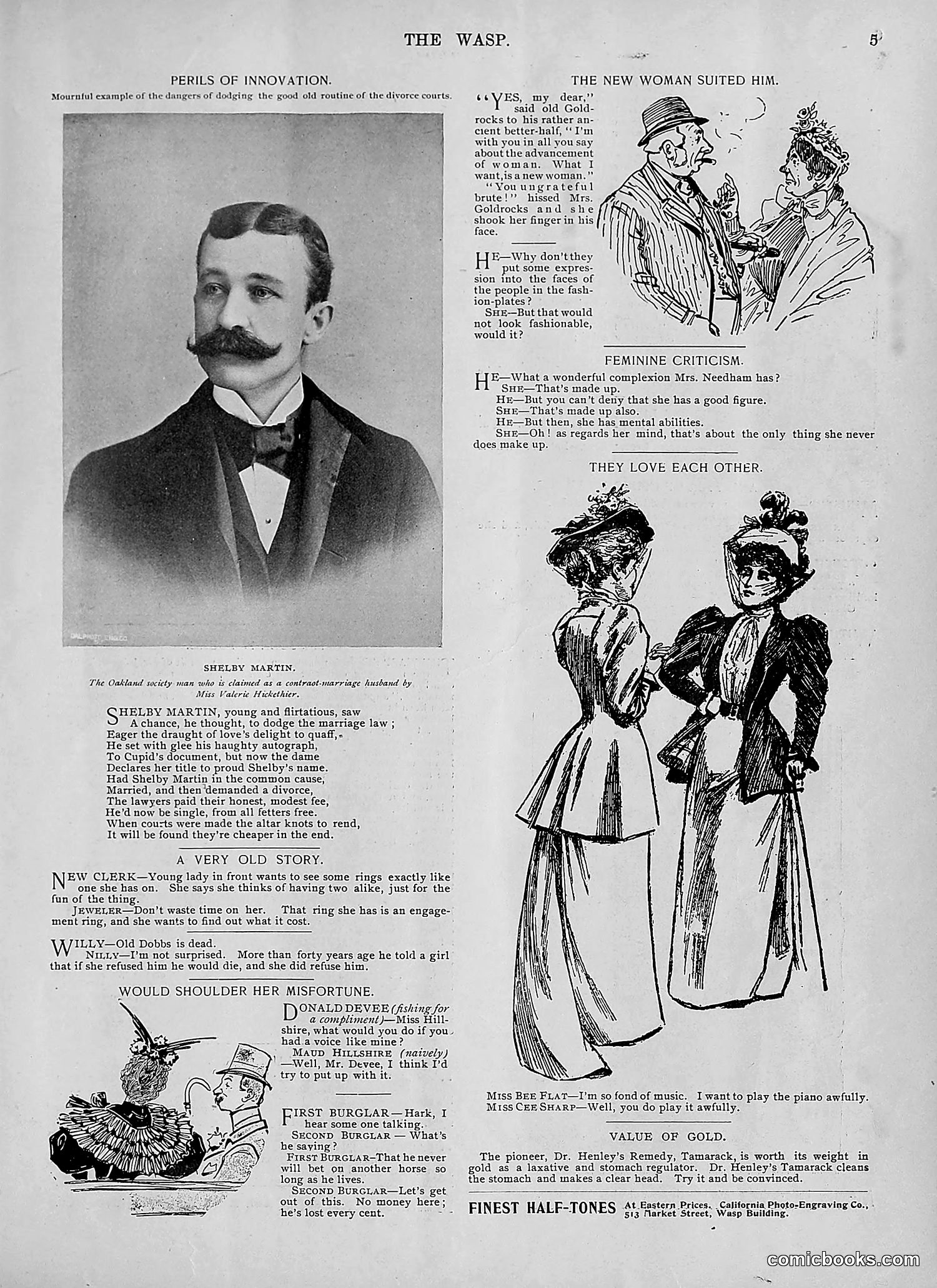 The Wasp — 1895 — page 532 of 1100