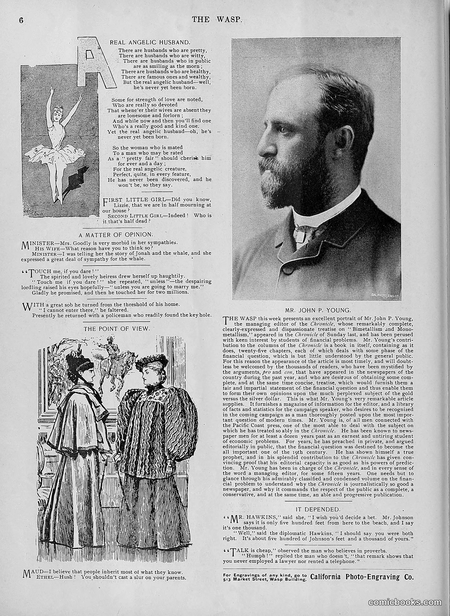 The Wasp — 1895 — page 533 of 1100