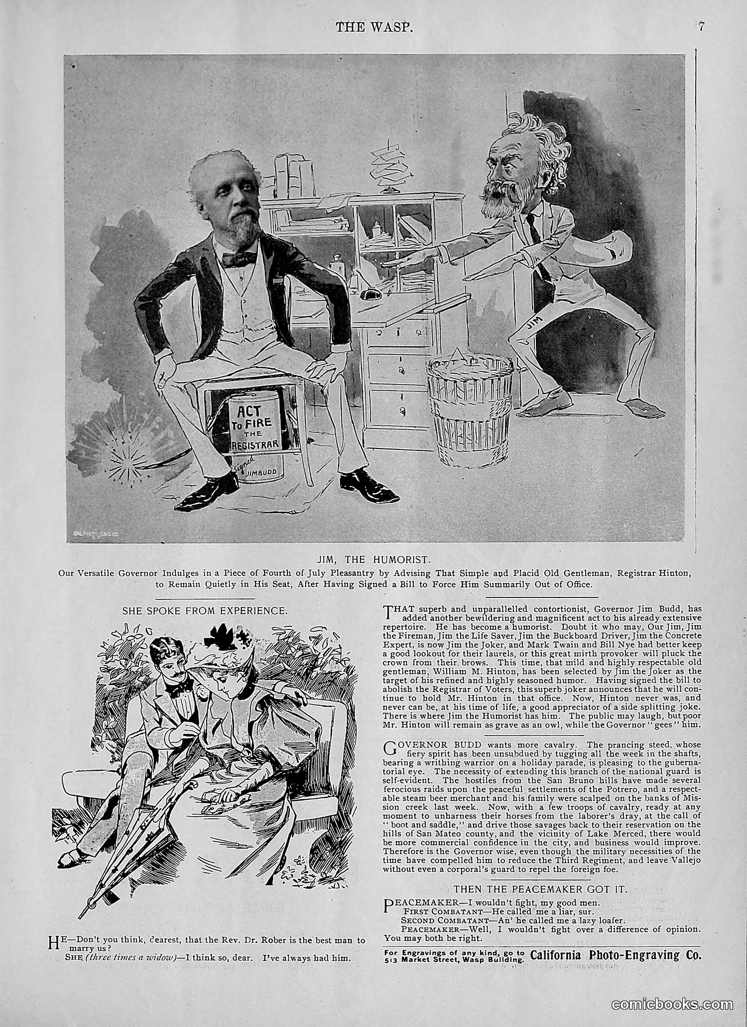 The Wasp — 1895 — page 534 of 1100