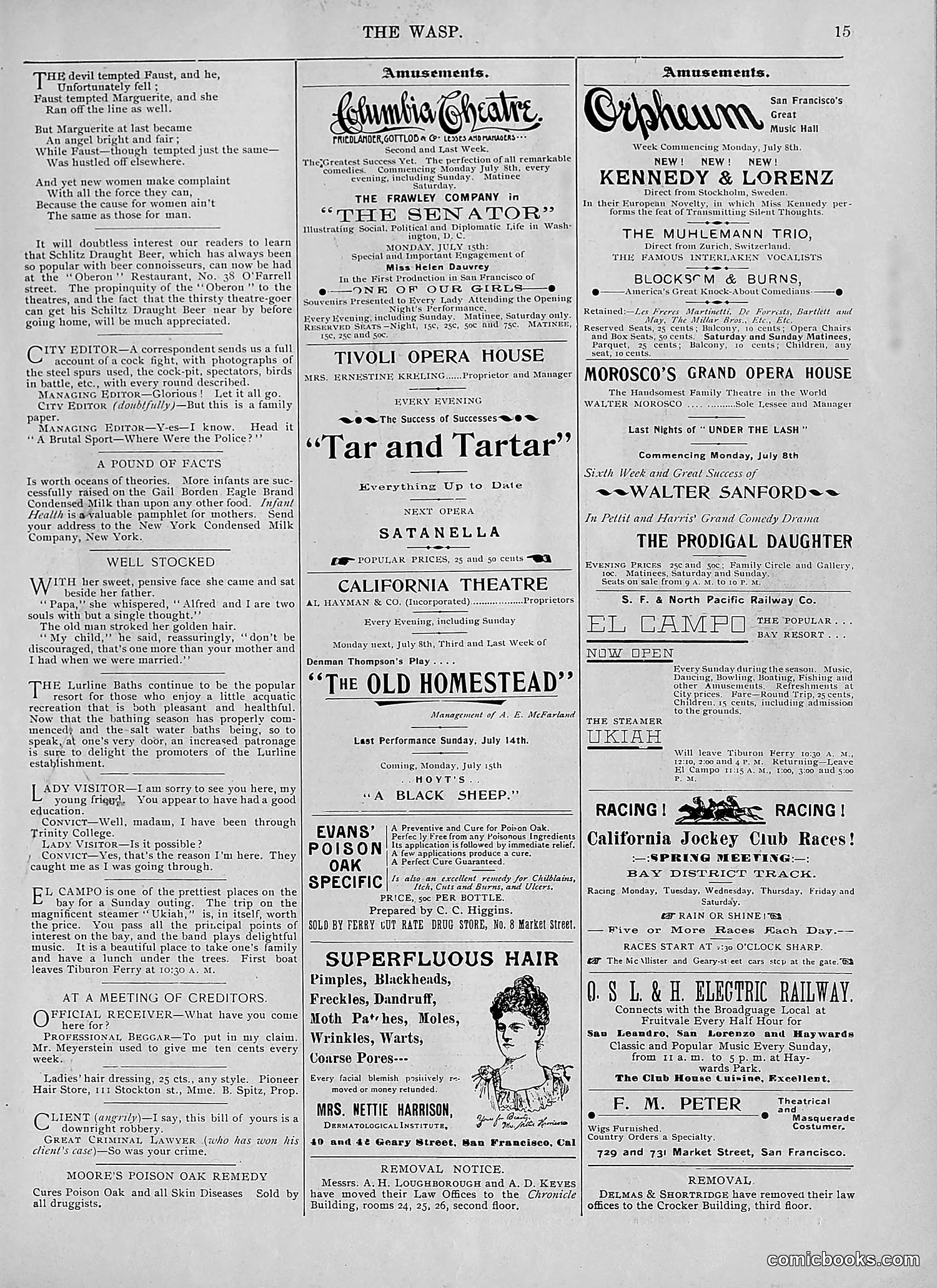 The Wasp — 1895 — page 542 of 1100