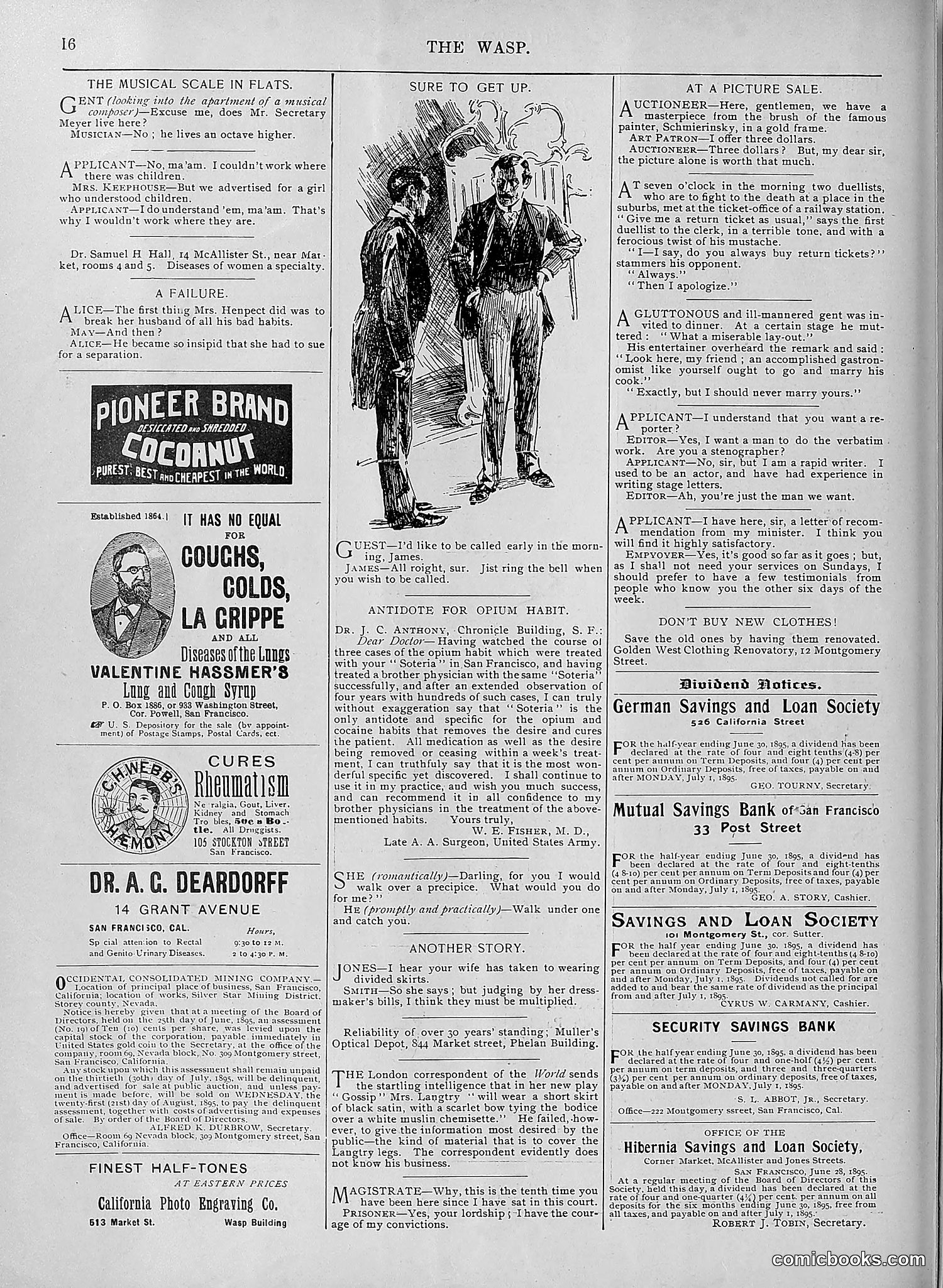The Wasp — 1895 — page 543 of 1100