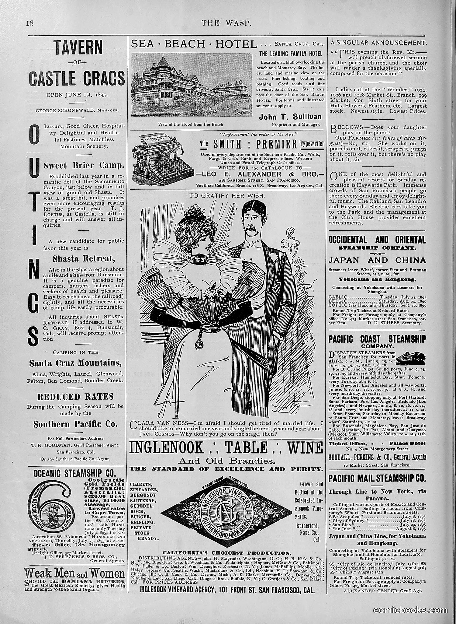 The Wasp — 1895 — page 545 of 1100
