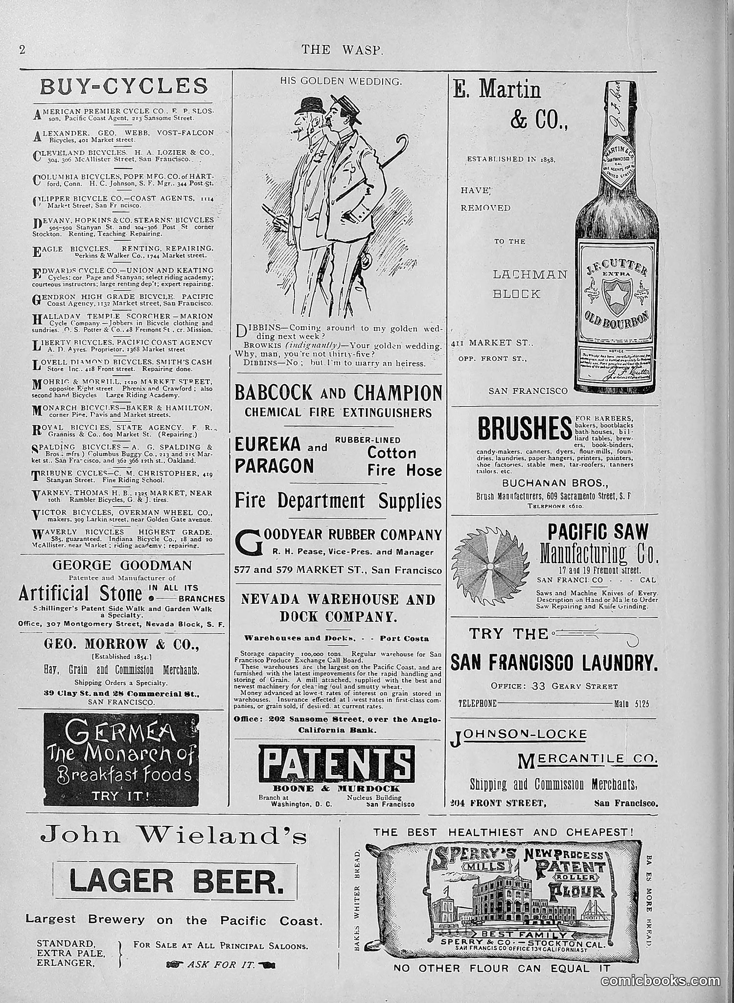 The Wasp — 1895 — page 549 of 1100
