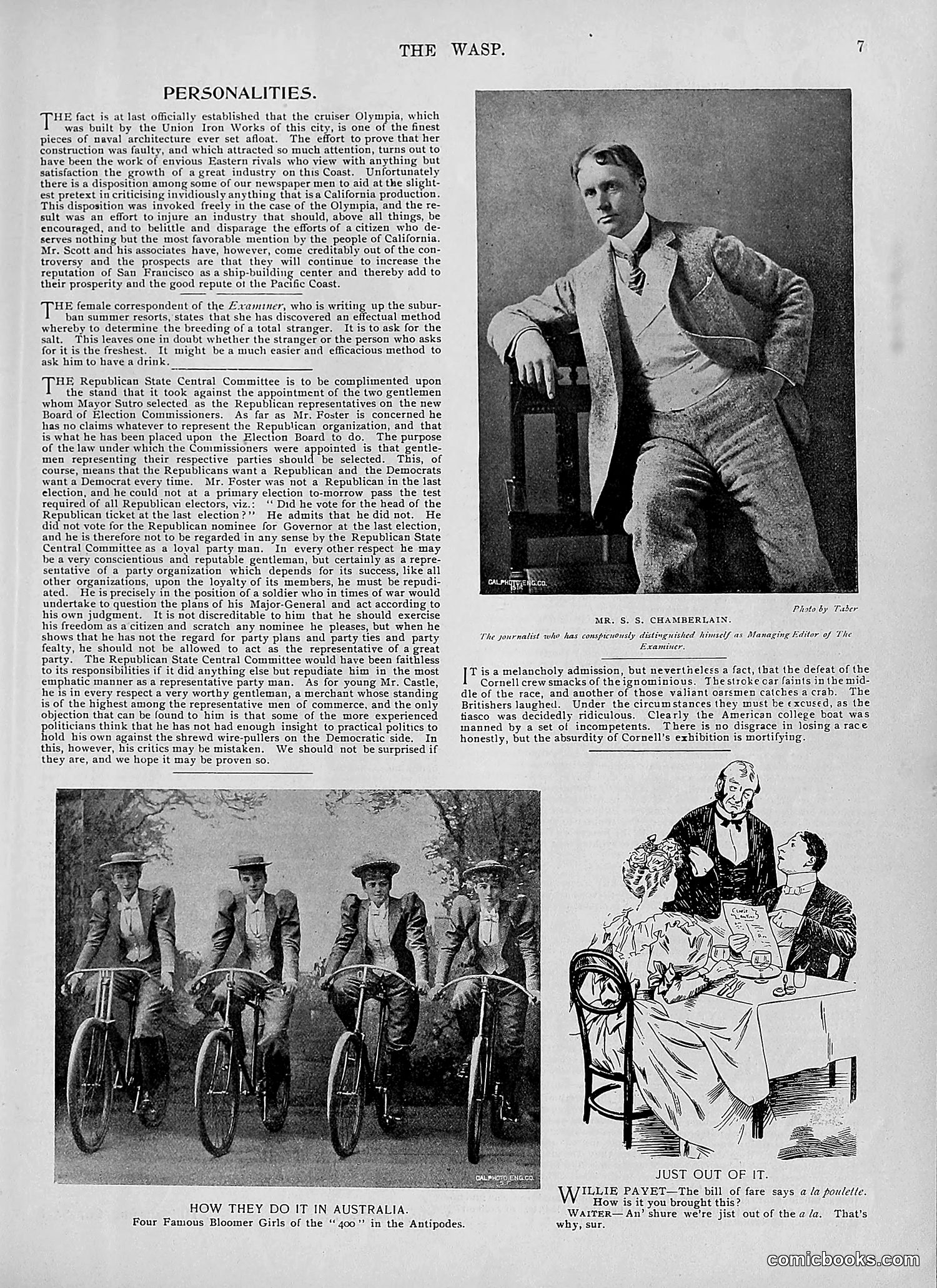 The Wasp — 1895 — page 554 of 1100
