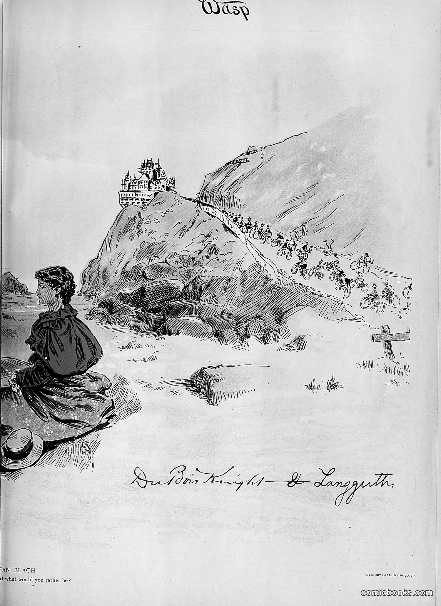 The Wasp — 1895 — page 558 of 1100