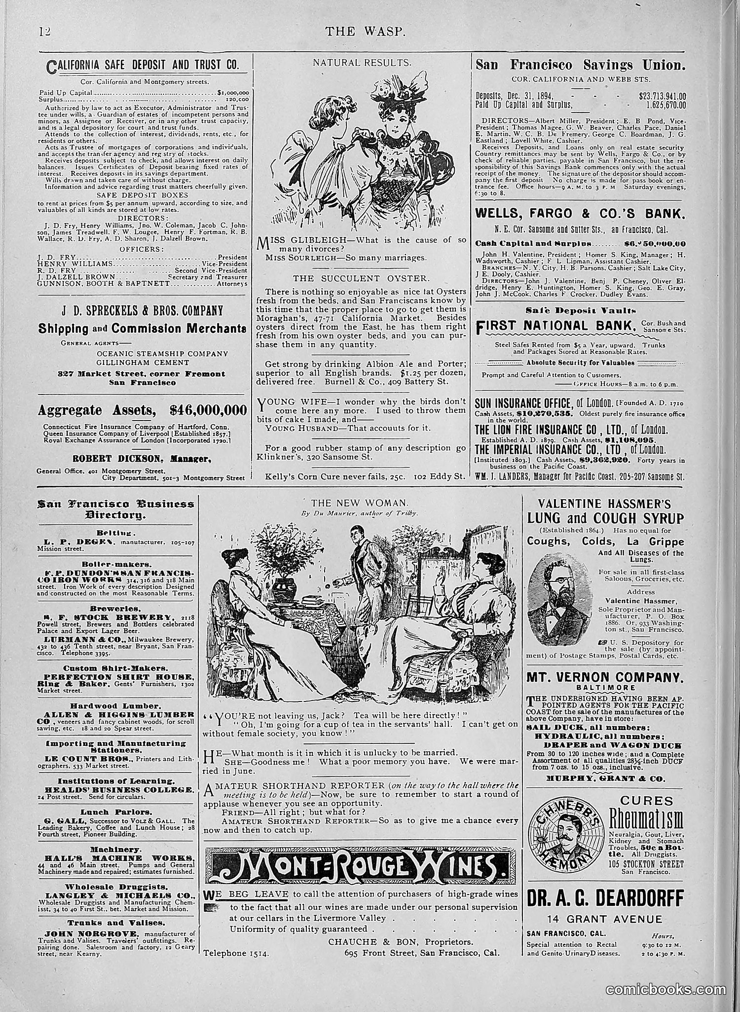 The Wasp — 1895 — page 559 of 1100