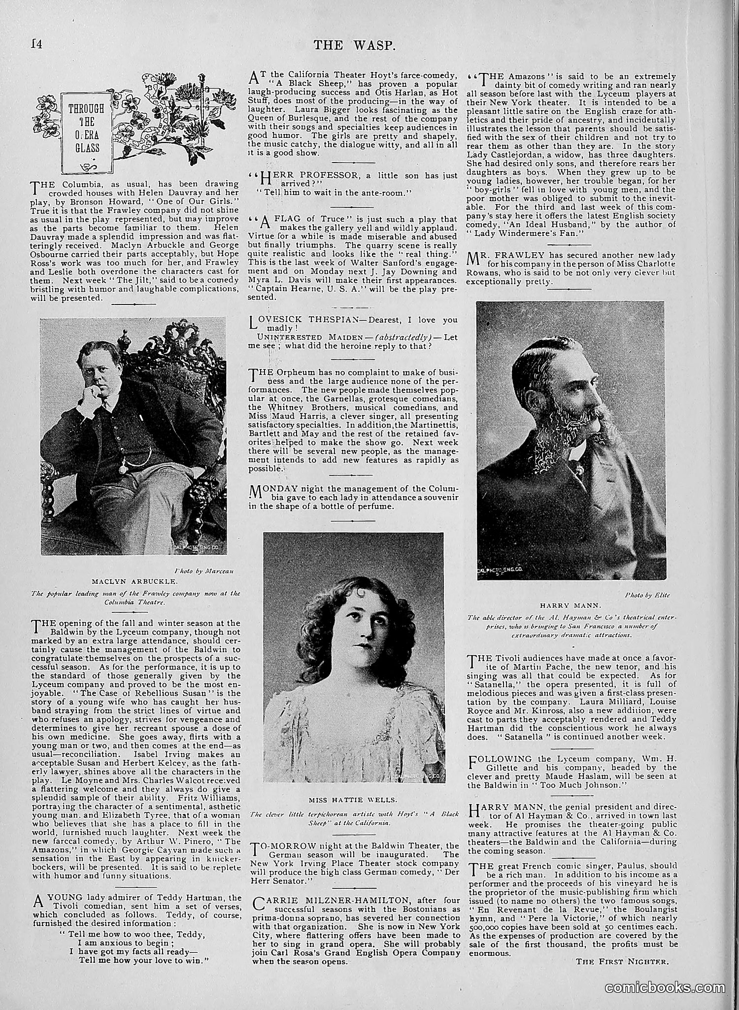 The Wasp — 1895 — page 561 of 1100