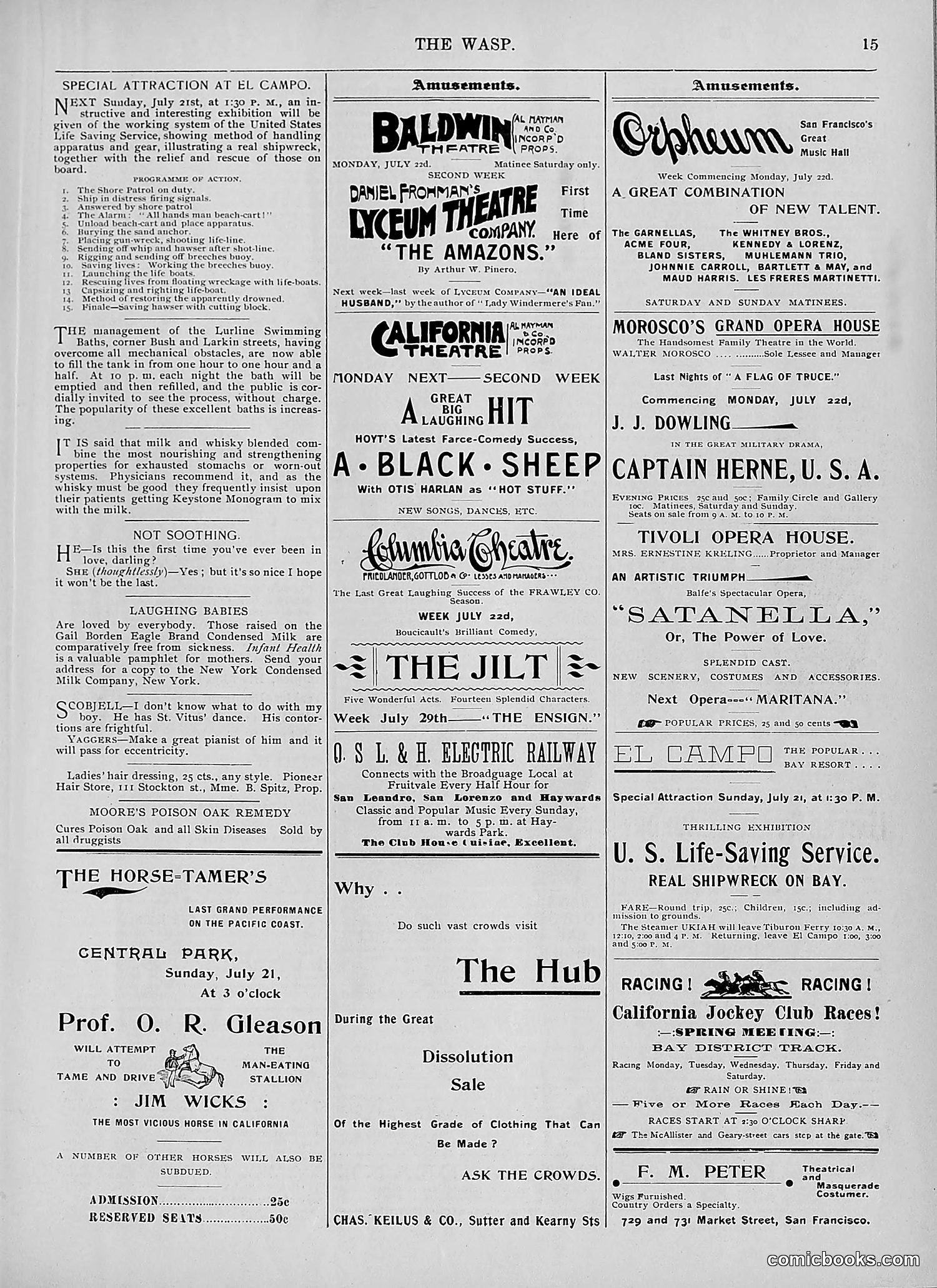 The Wasp — 1895 — page 562 of 1100