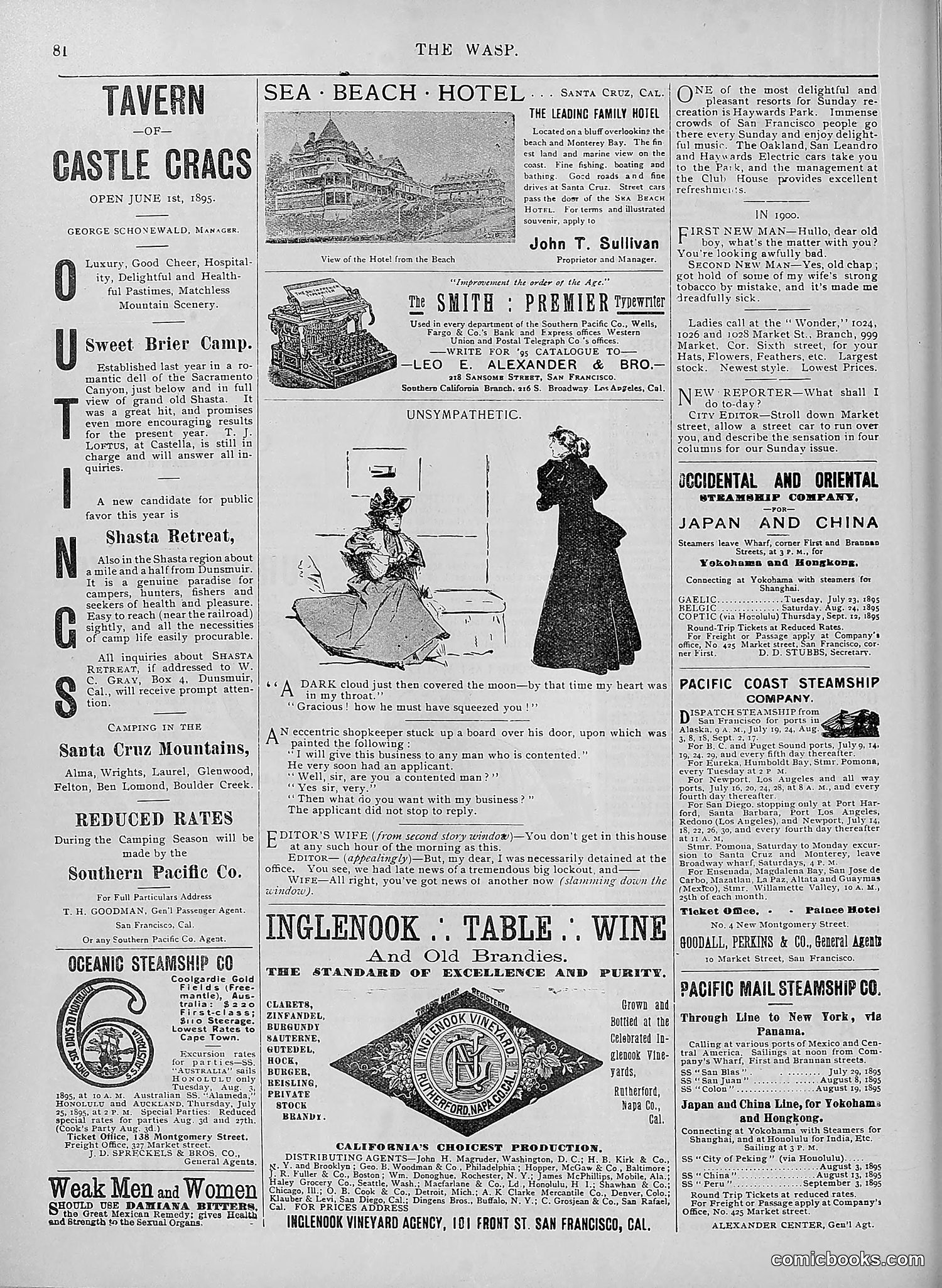 The Wasp — 1895 — page 565 of 1100