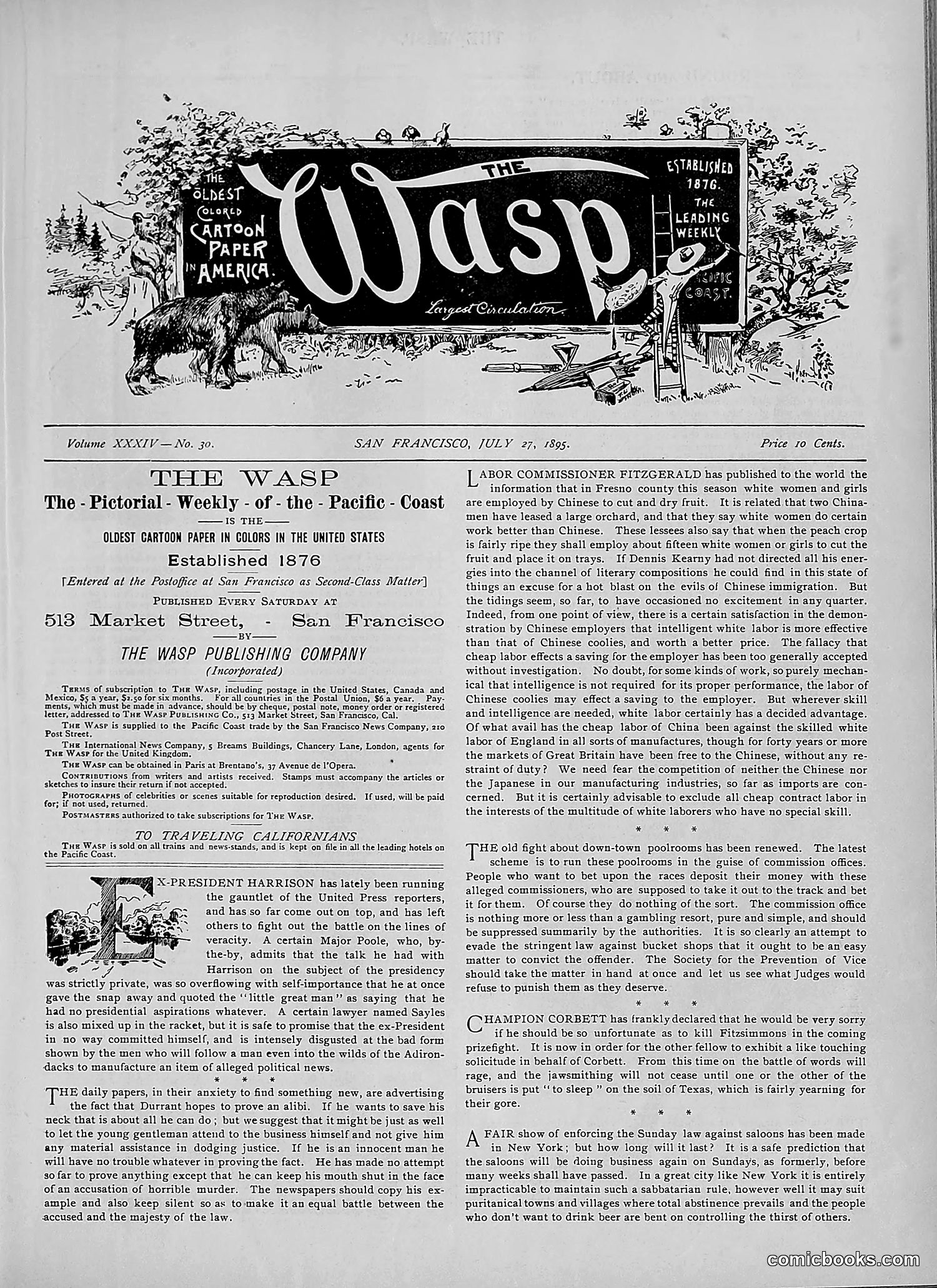 The Wasp — 1895 — page 570 of 1100