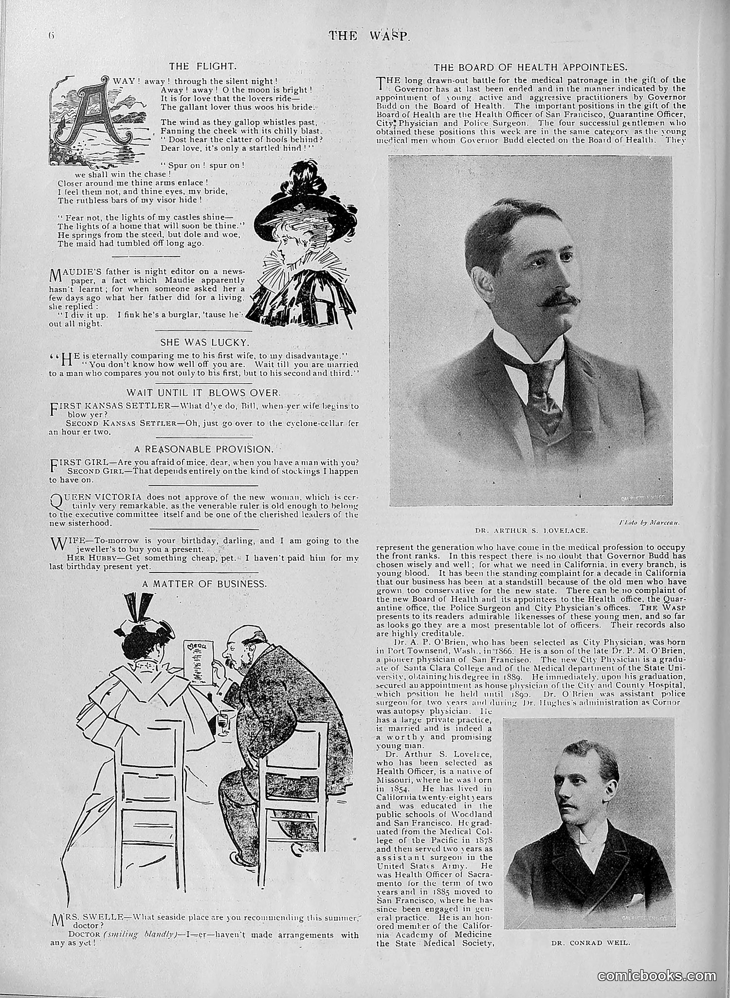 The Wasp — 1895 — page 573 of 1100