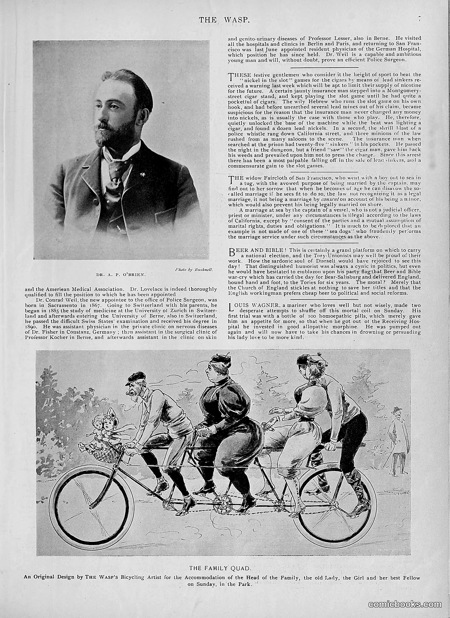 The Wasp — 1895 — page 574 of 1100