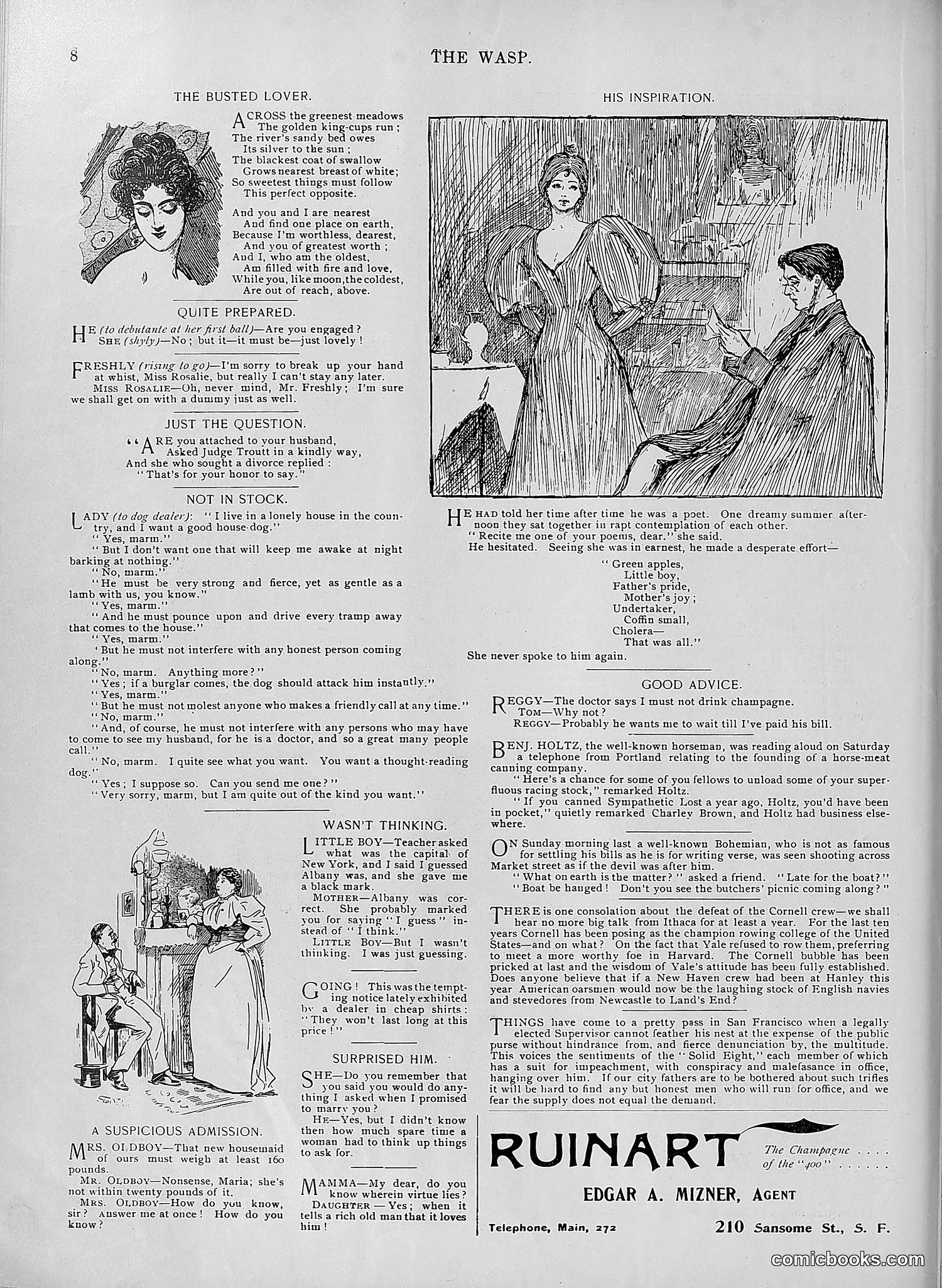 The Wasp — 1895 — page 575 of 1100