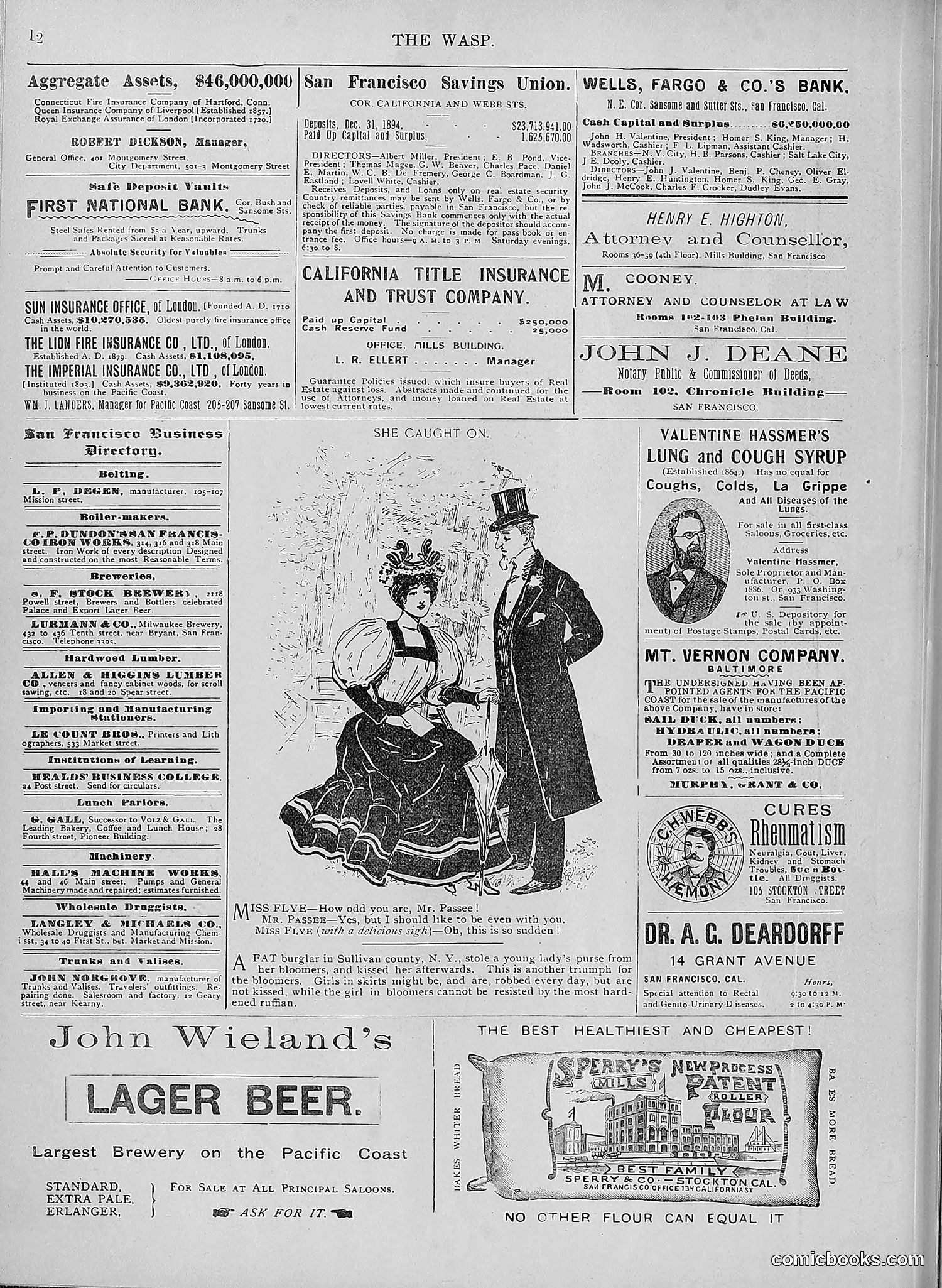 The Wasp — 1895 — page 579 of 1100