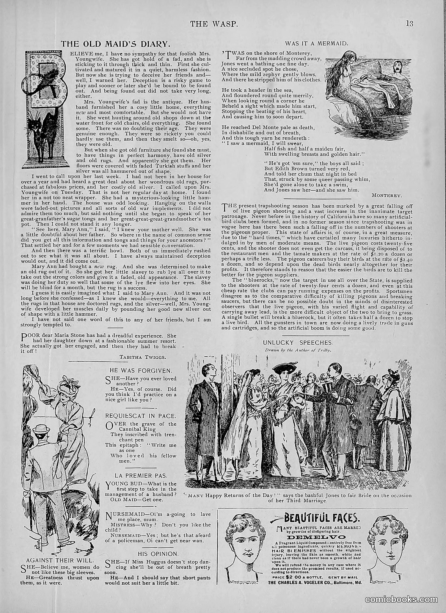 The Wasp — 1895 — page 580 of 1100