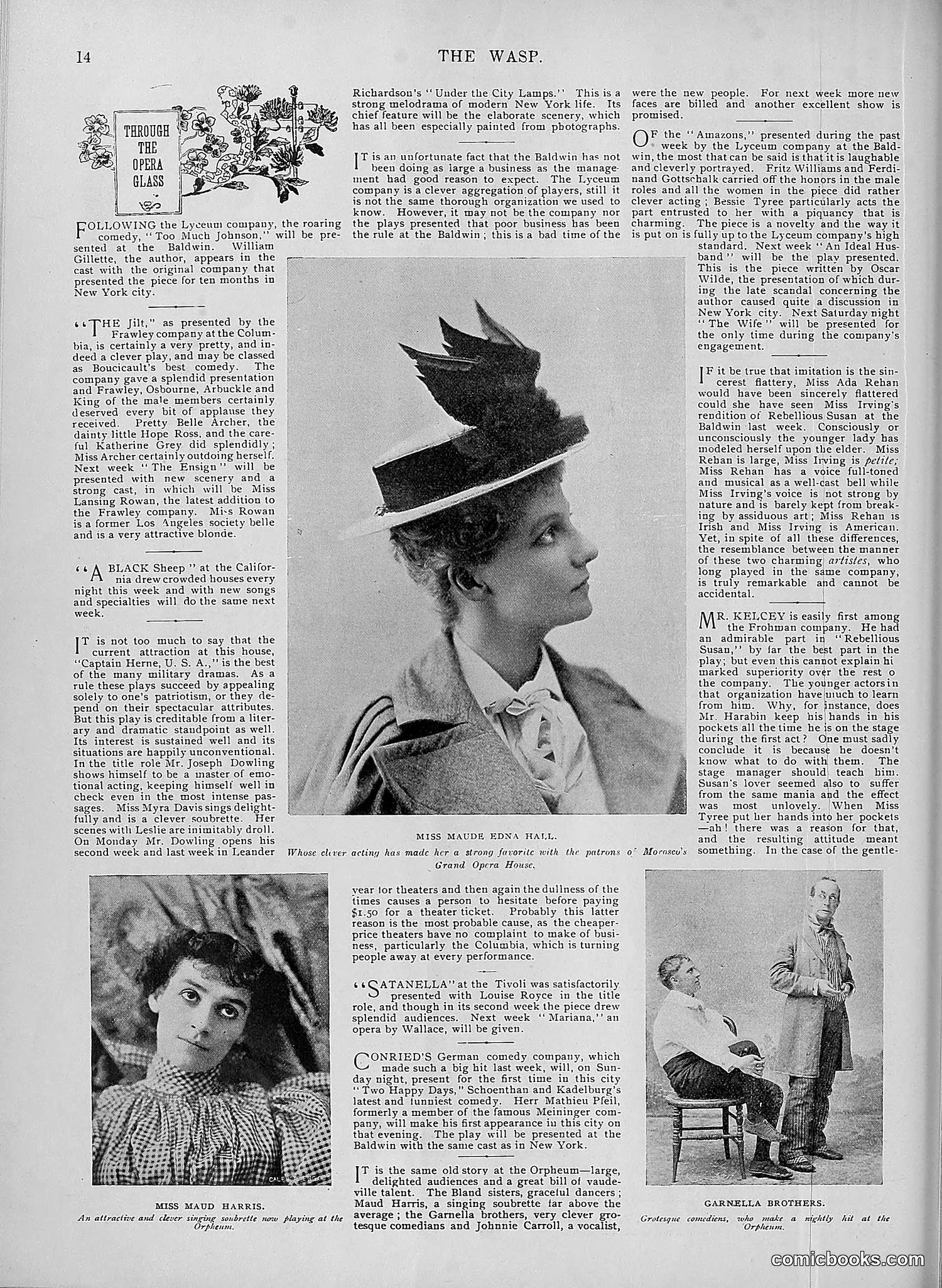 The Wasp — 1895 — page 581 of 1100