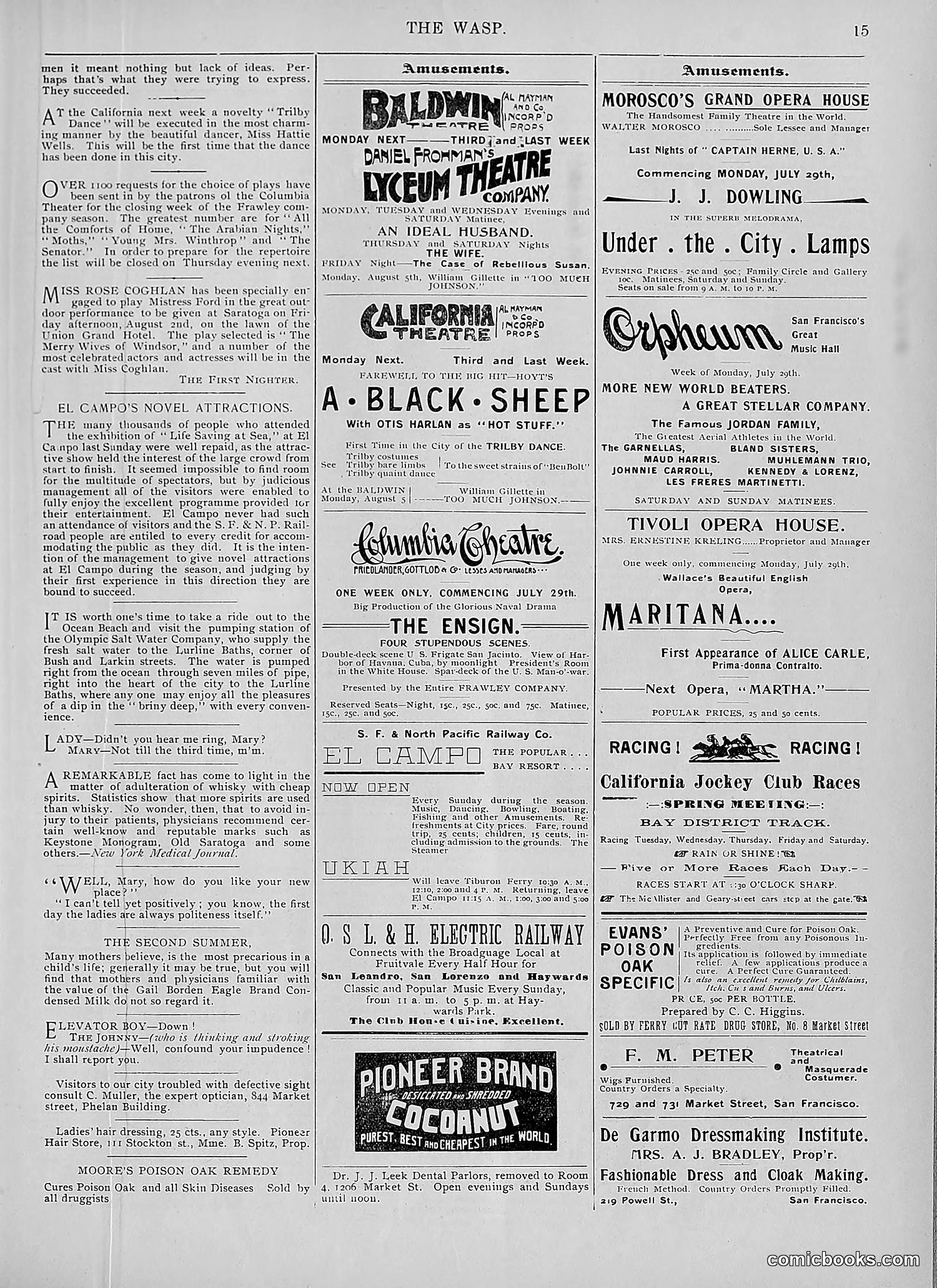 The Wasp — 1895 — page 582 of 1100