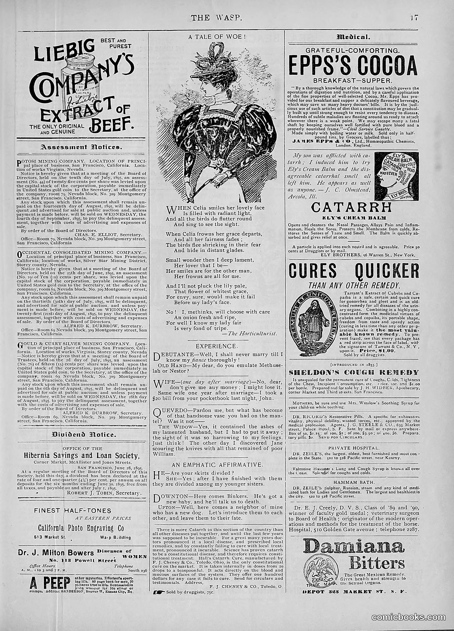 The Wasp — 1895 — page 584 of 1100