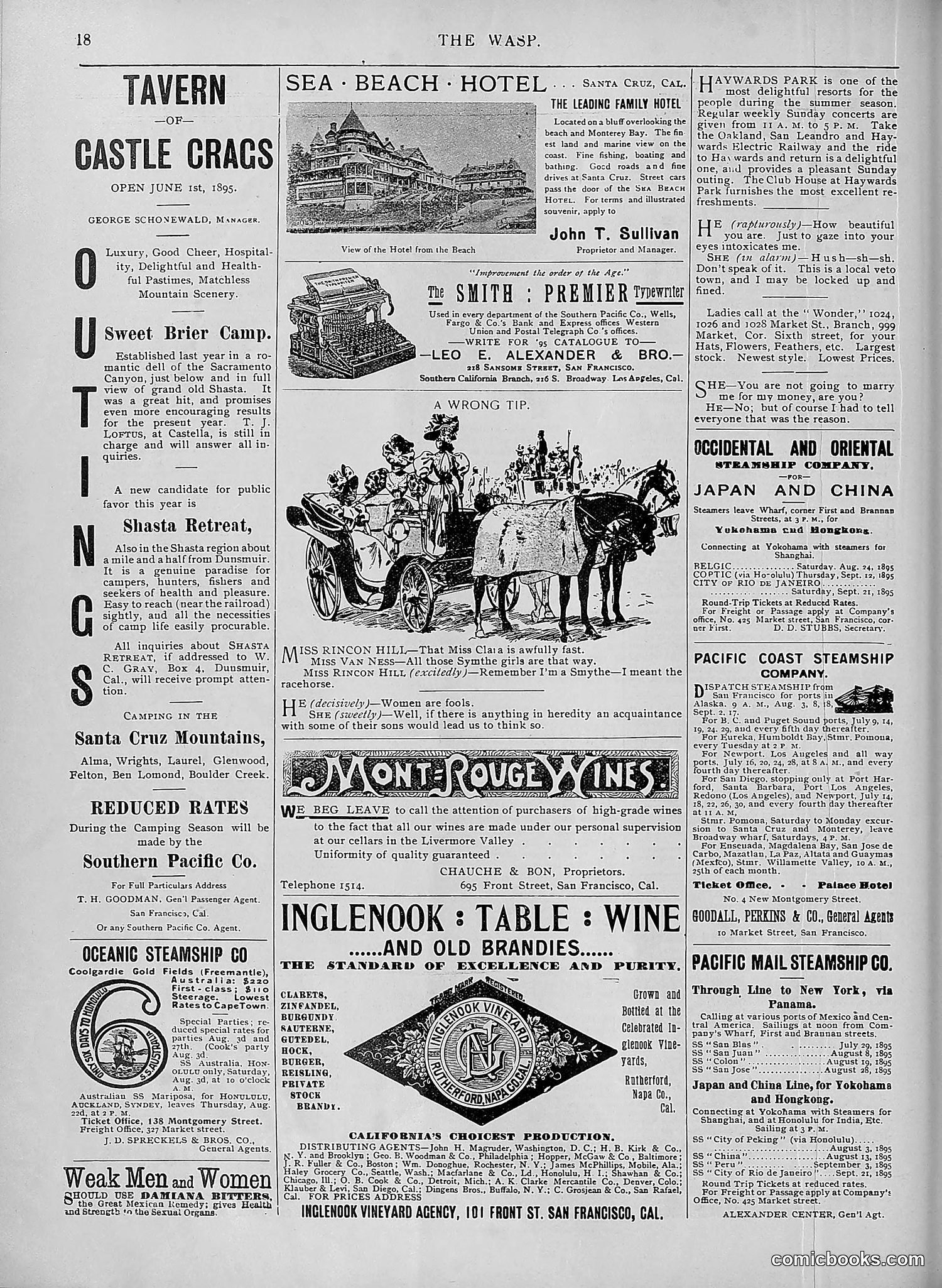 The Wasp — 1895 — page 585 of 1100