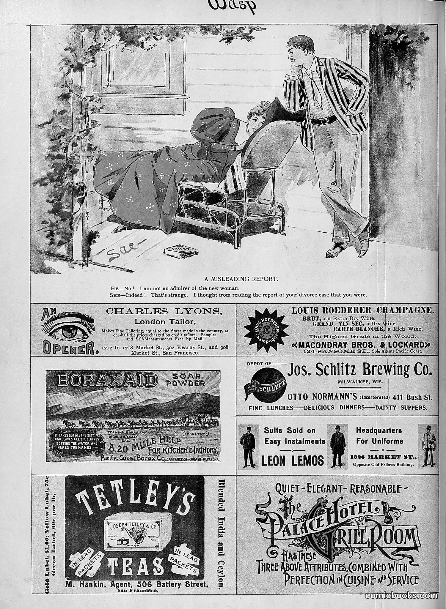 The Wasp — 1895 — page 587 of 1100