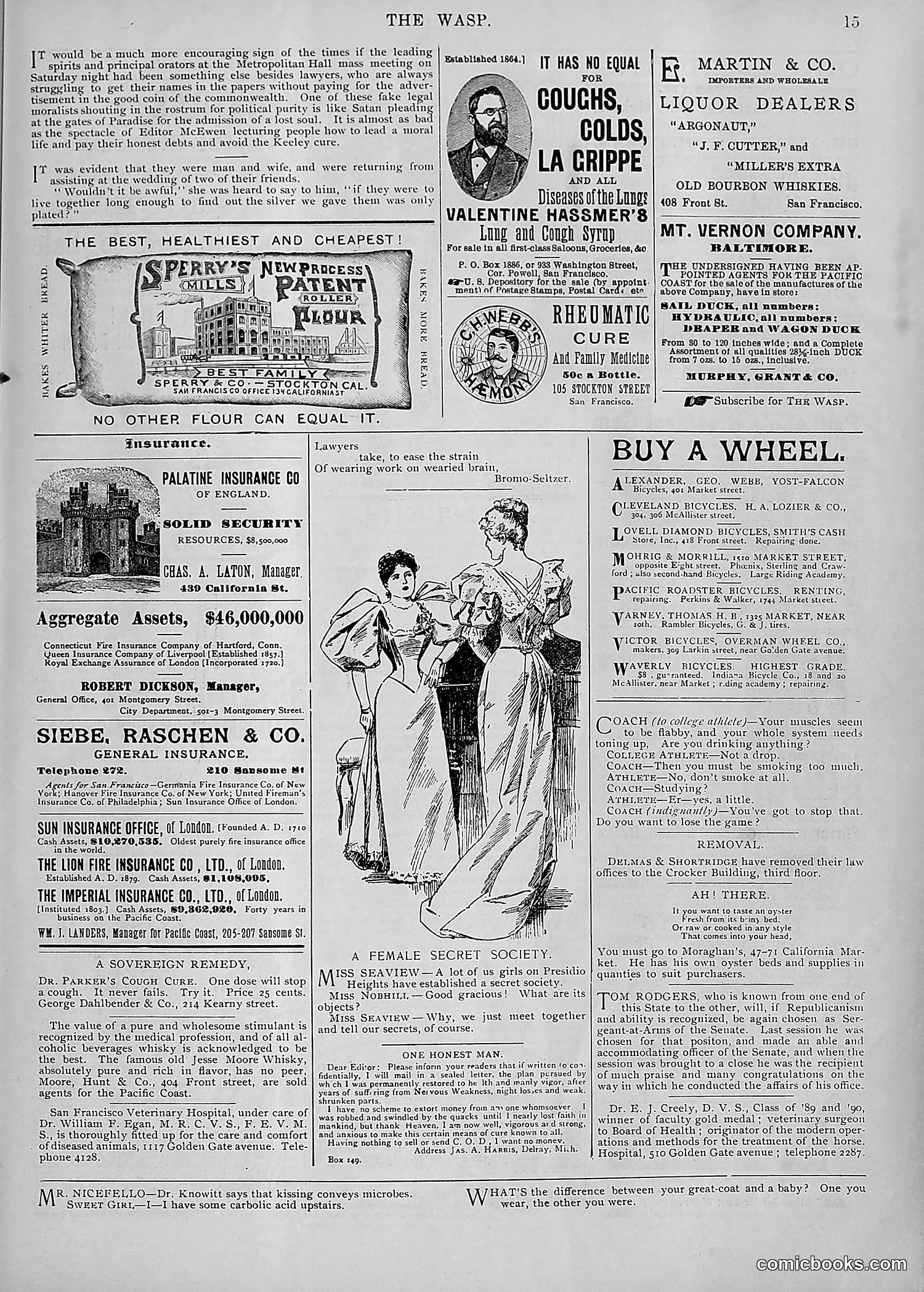The Wasp — 1895 — page 60 of 1100