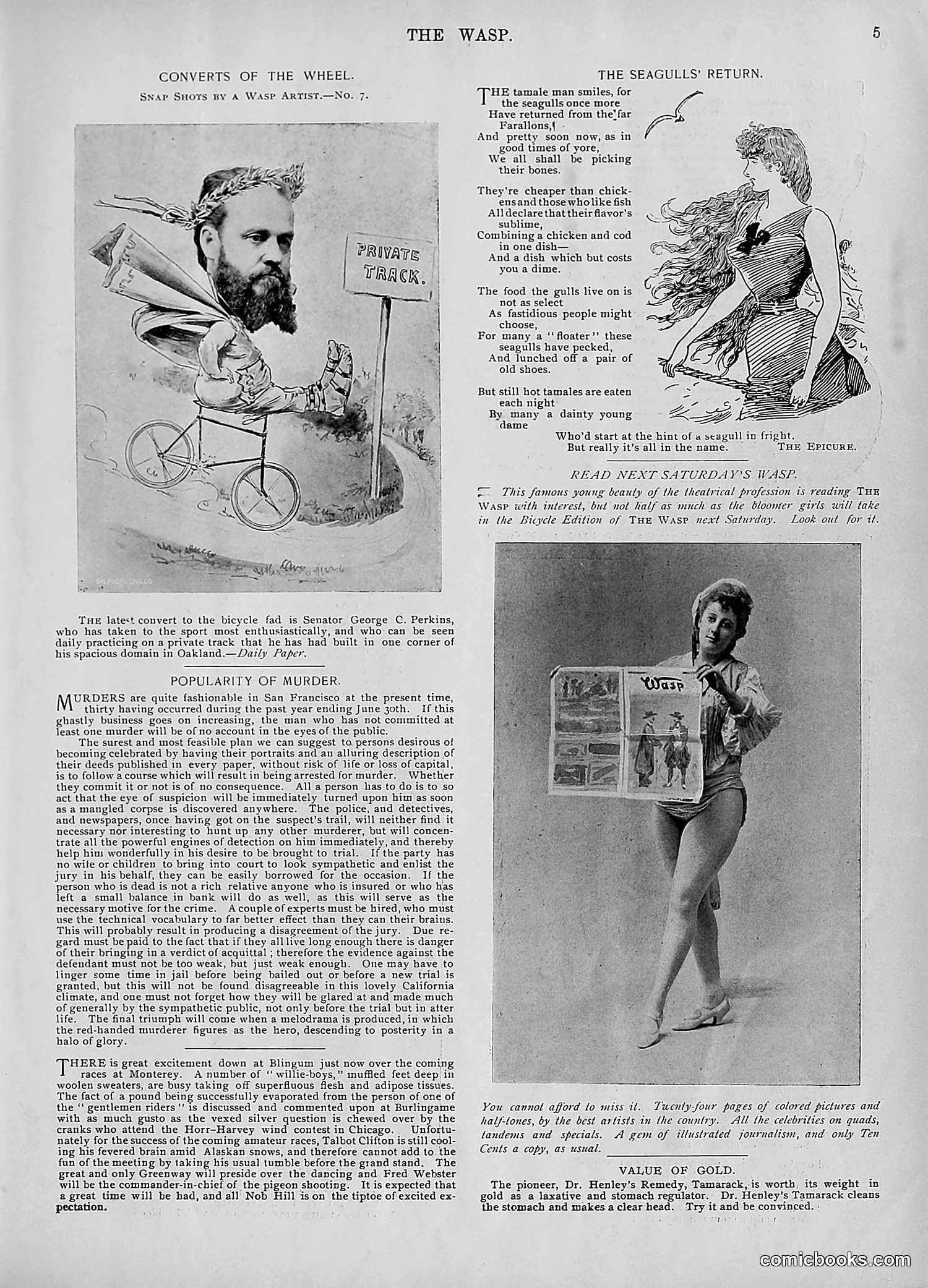 The Wasp — 1895 — page 592 of 1100