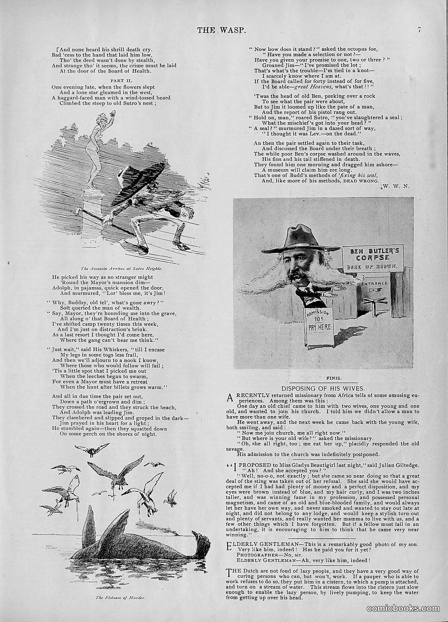 The Wasp — 1895 — page 594 of 1100