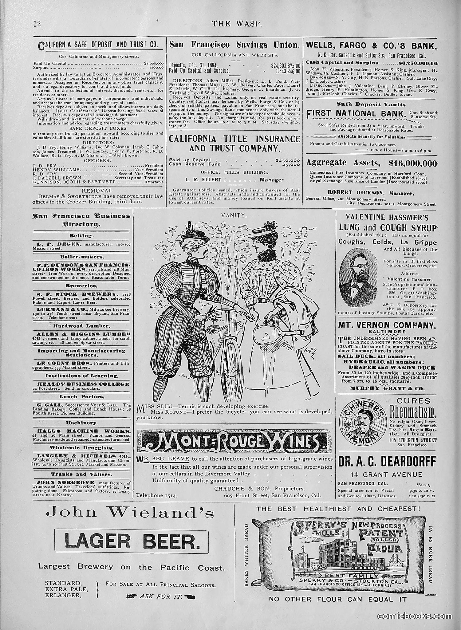 The Wasp — 1895 — page 599 of 1100