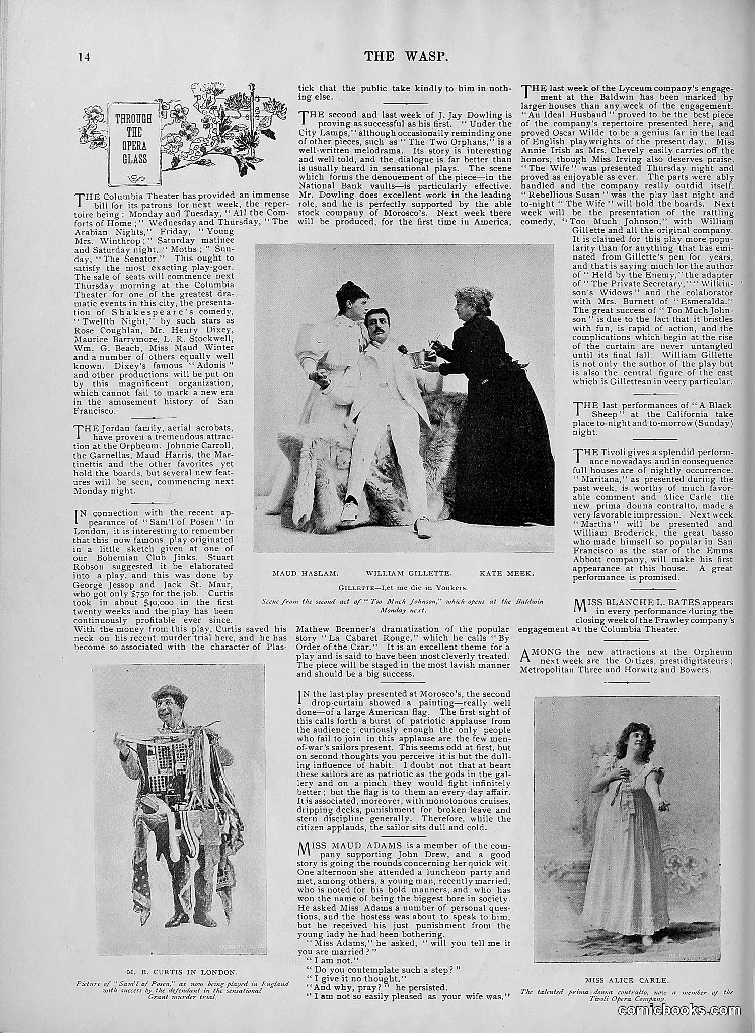 The Wasp — 1895 — page 601 of 1100