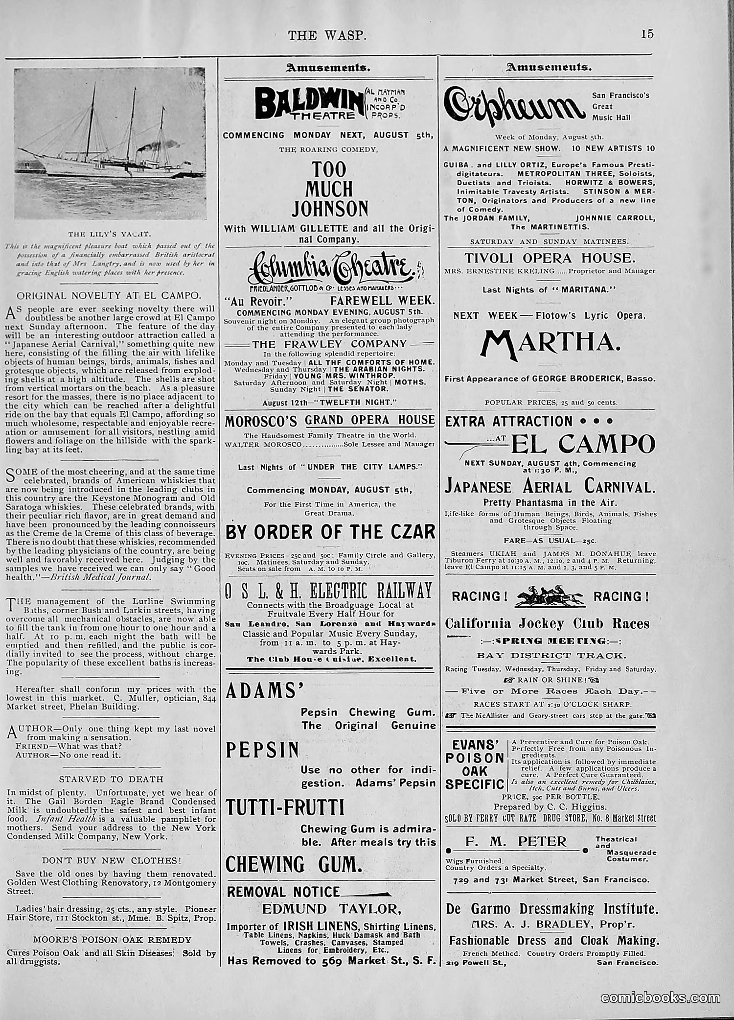 The Wasp — 1895 — page 602 of 1100