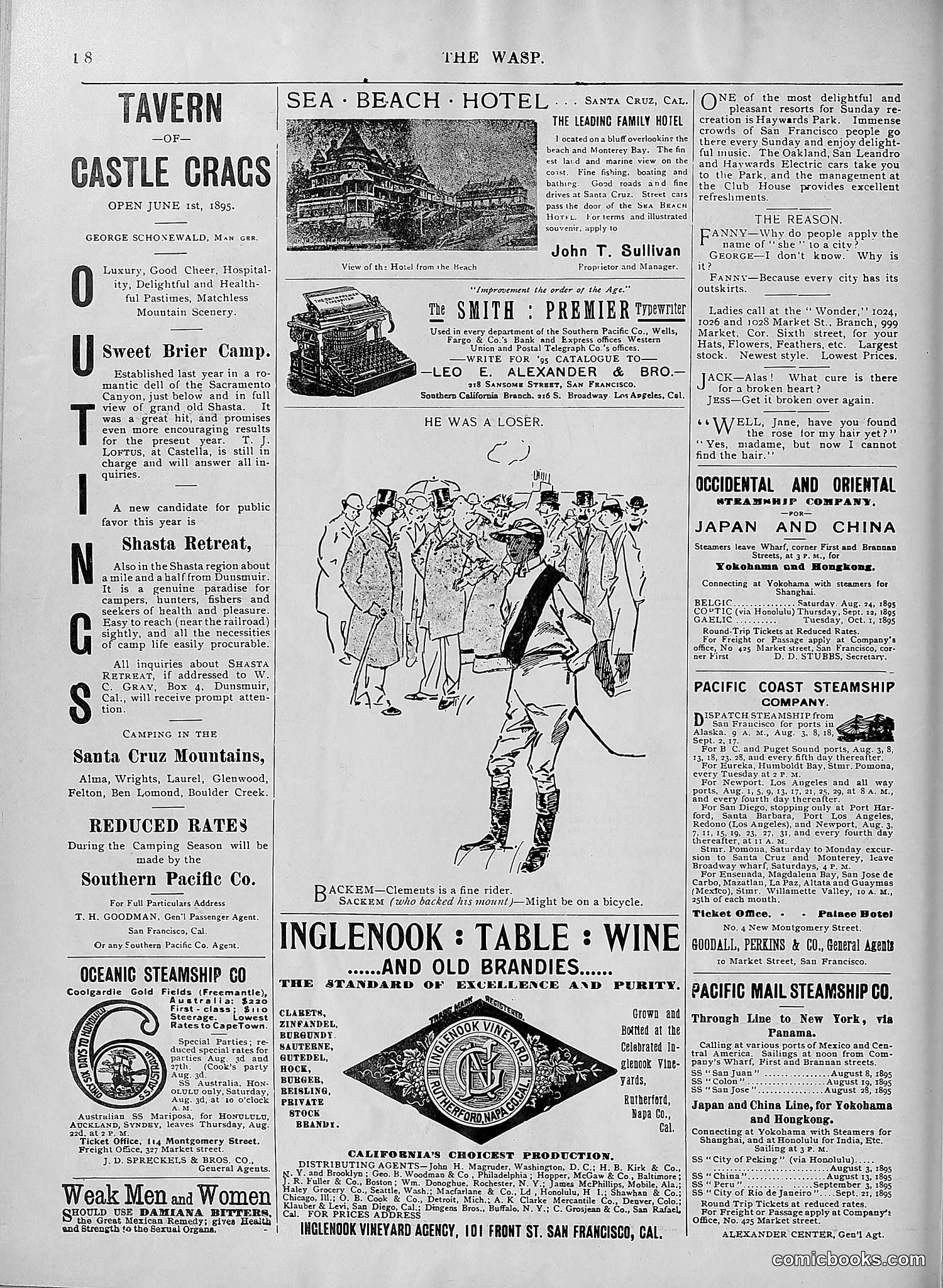 The Wasp — 1895 — page 605 of 1100