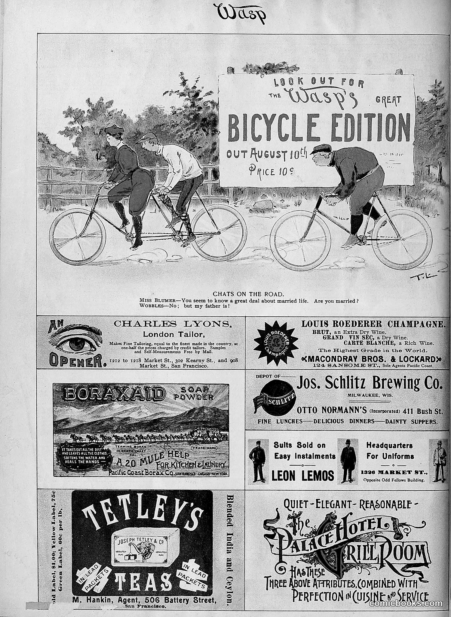 The Wasp — 1895 — page 607 of 1100