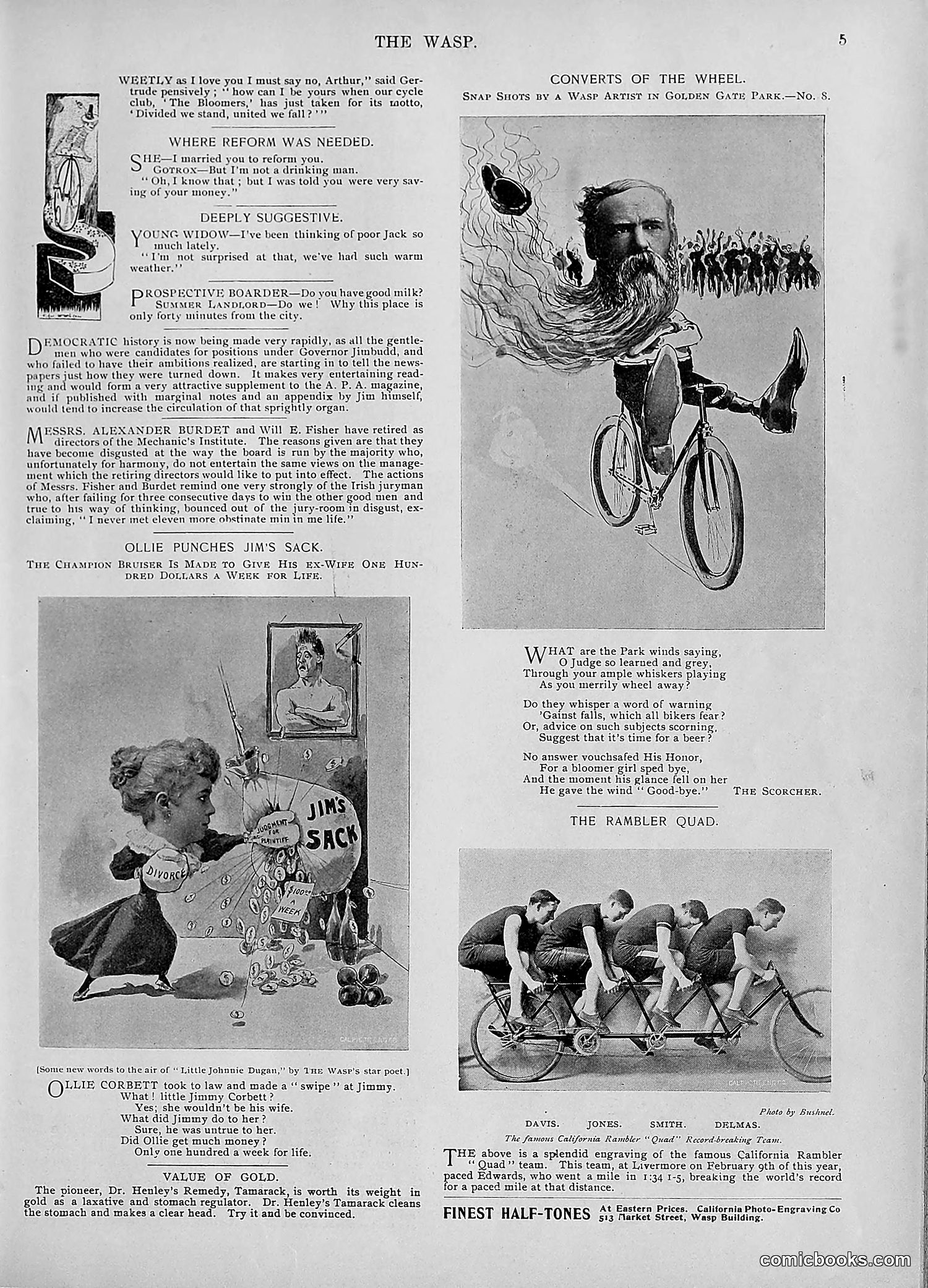 The Wasp — 1895 — page 612 of 1100