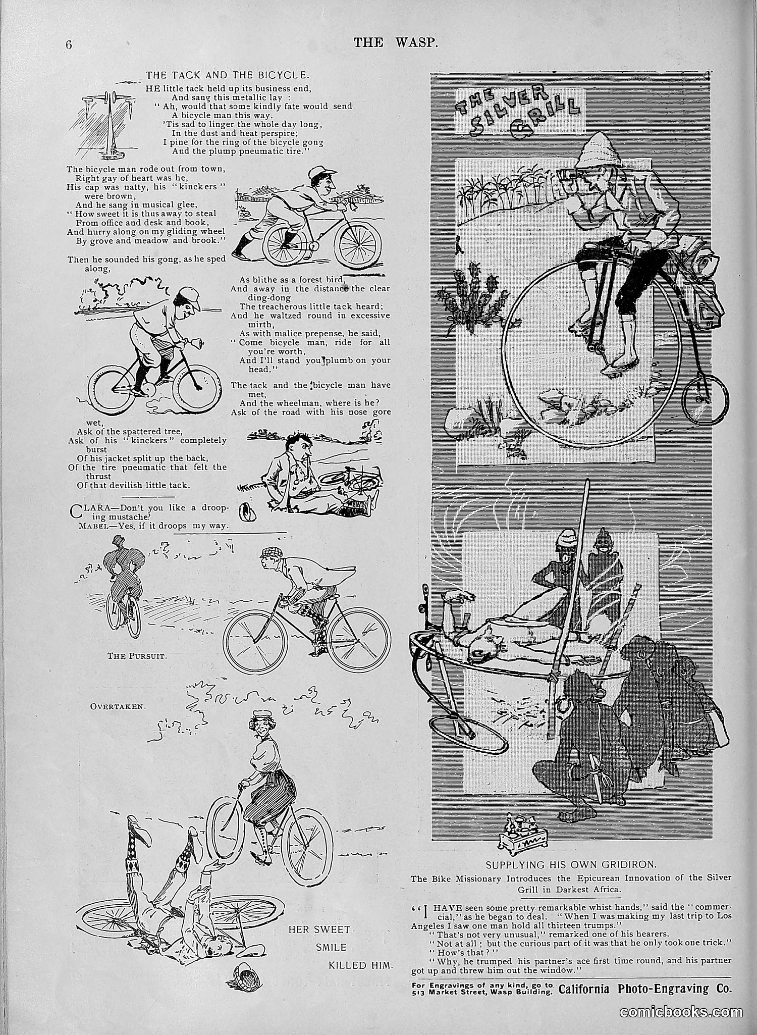The Wasp — 1895 — page 613 of 1100