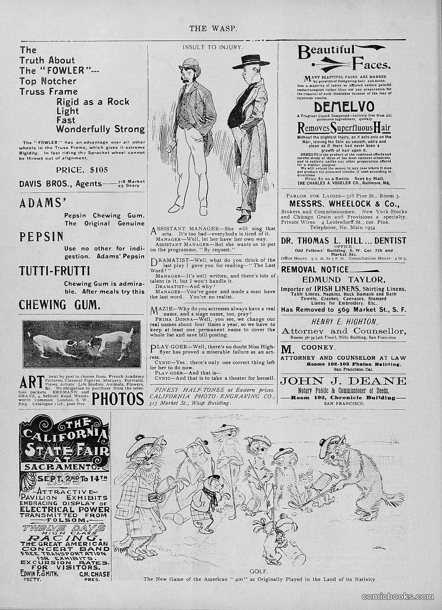 The Wasp — 1895 — page 623 of 1100