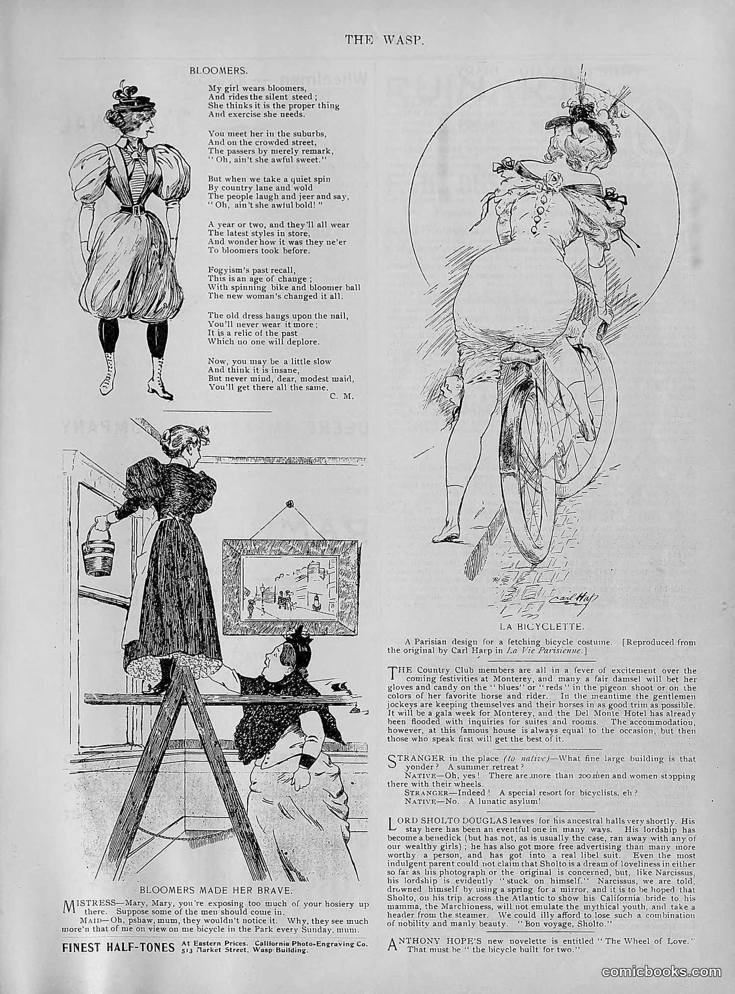 The Wasp — 1895 — page 624 of 1100