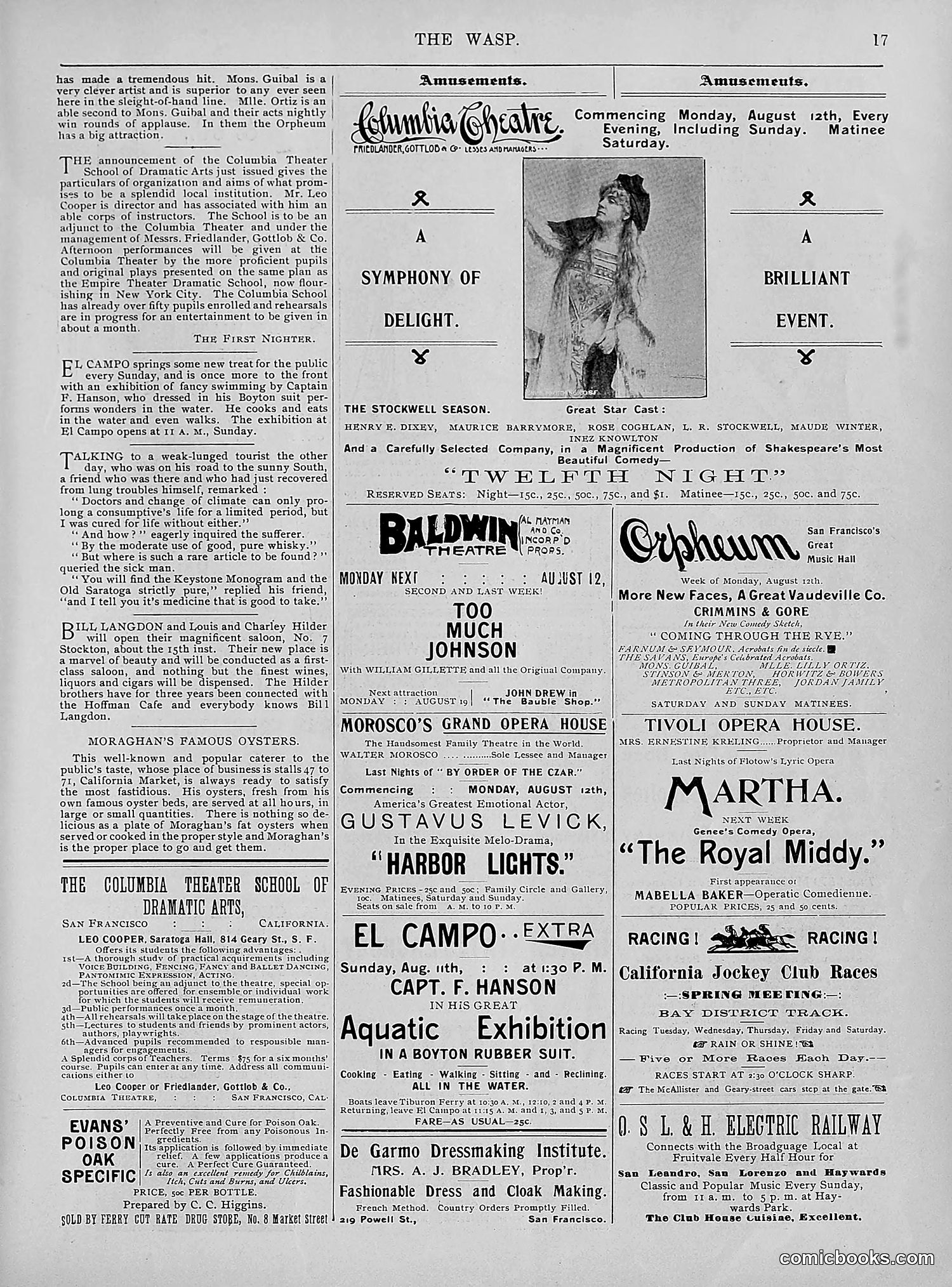 The Wasp — 1895 — page 628 of 1100