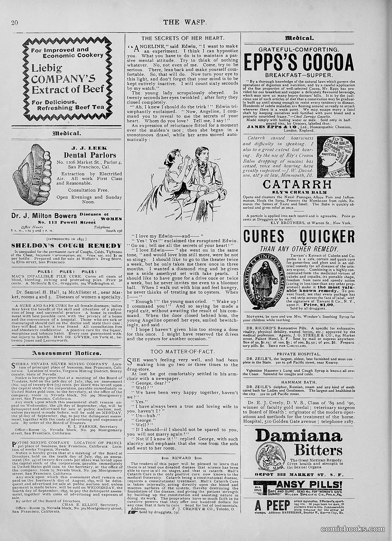 The Wasp — 1895 — page 631 of 1100