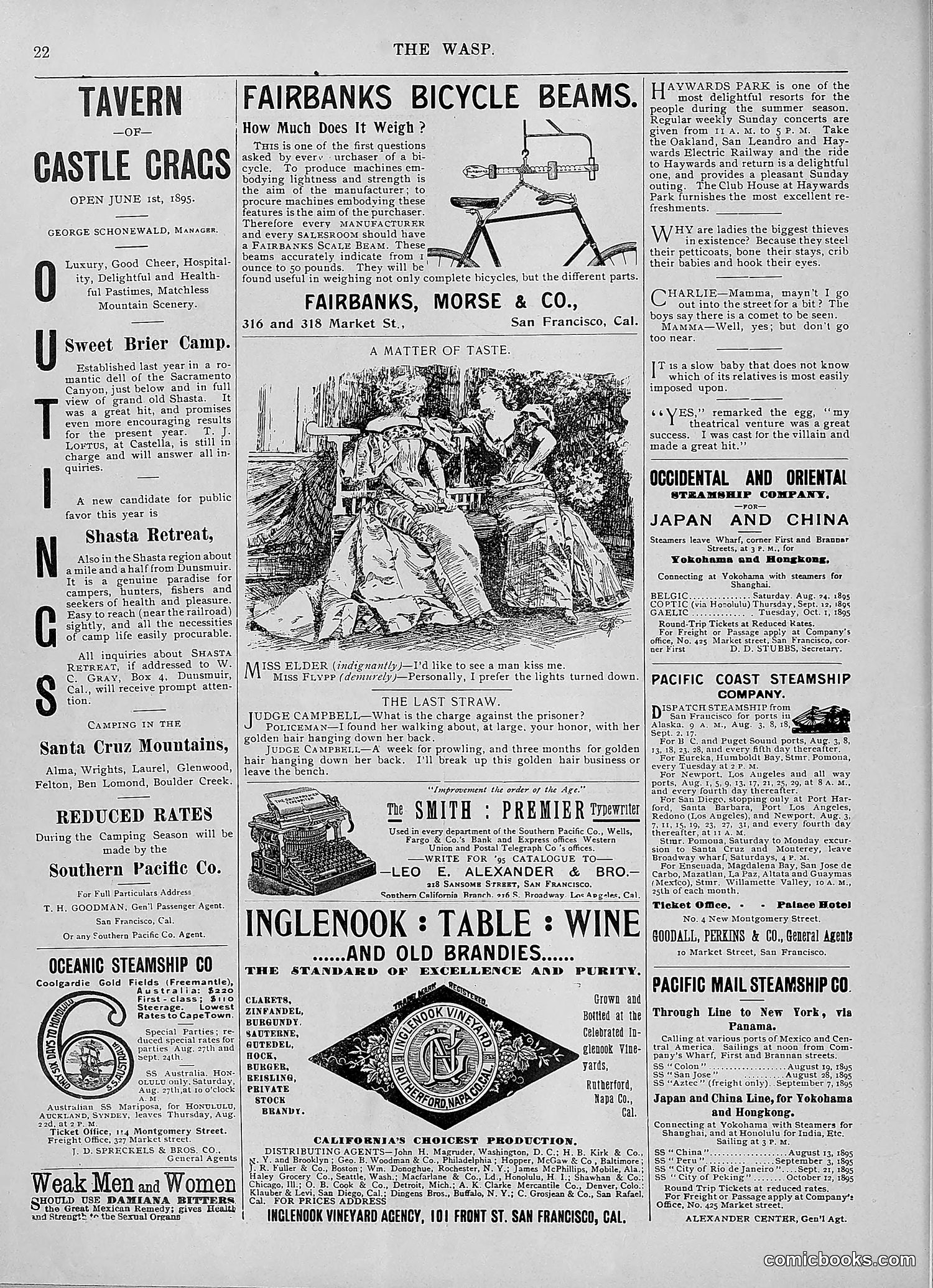 The Wasp — 1895 — page 633 of 1100