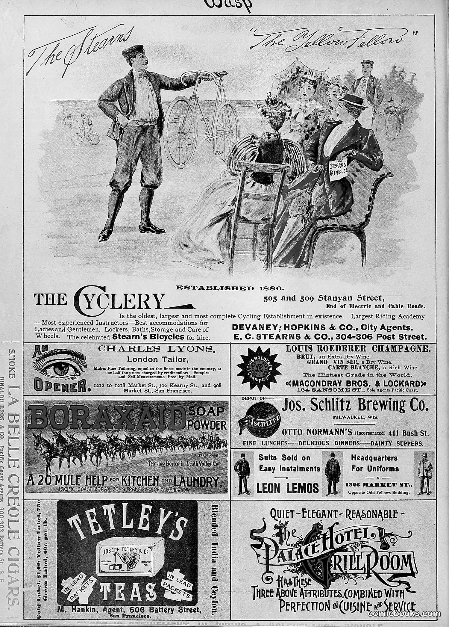 The Wasp — 1895 — page 635 of 1100
