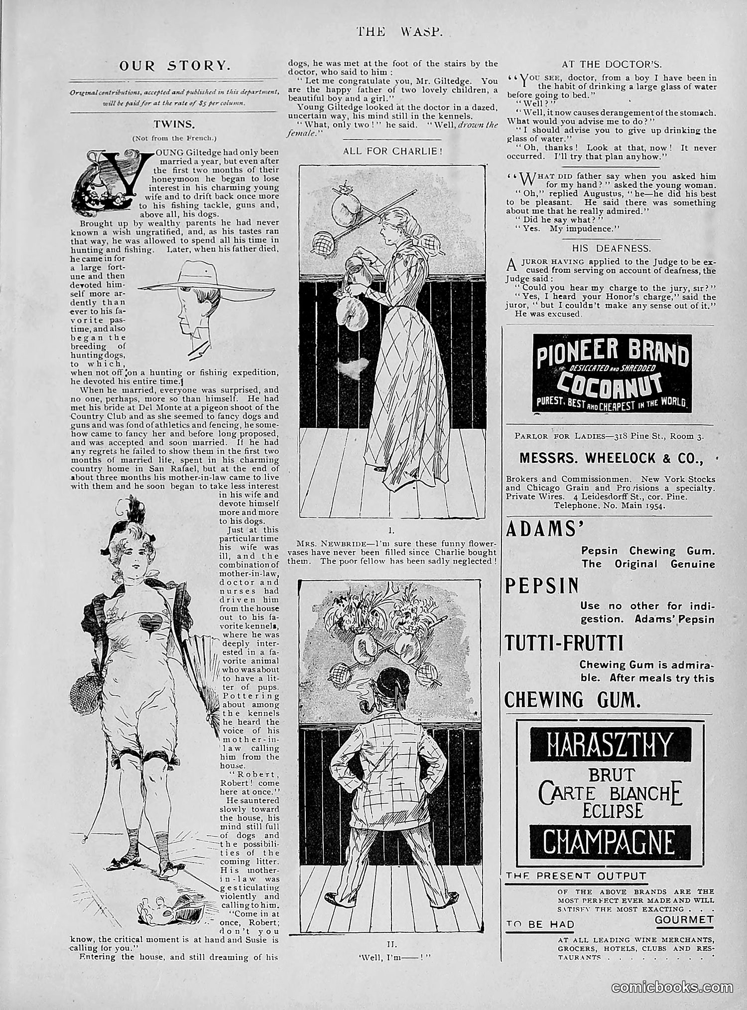 The Wasp — 1895 — page 644 of 1100