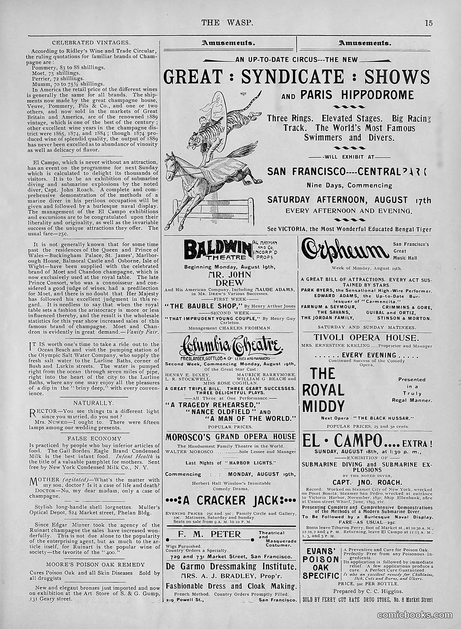 The Wasp — 1895 — page 650 of 1100