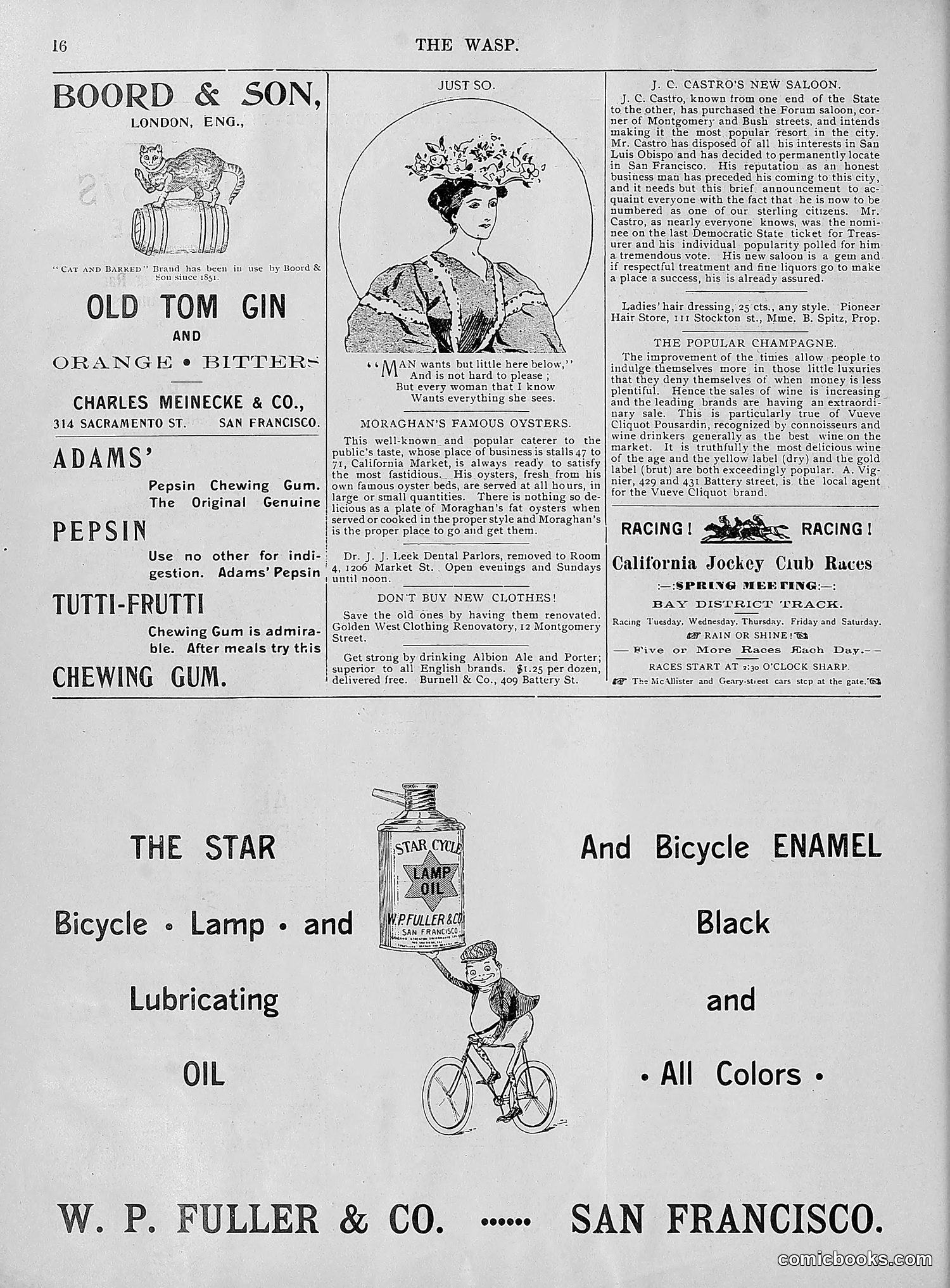 The Wasp — 1895 — page 651 of 1100