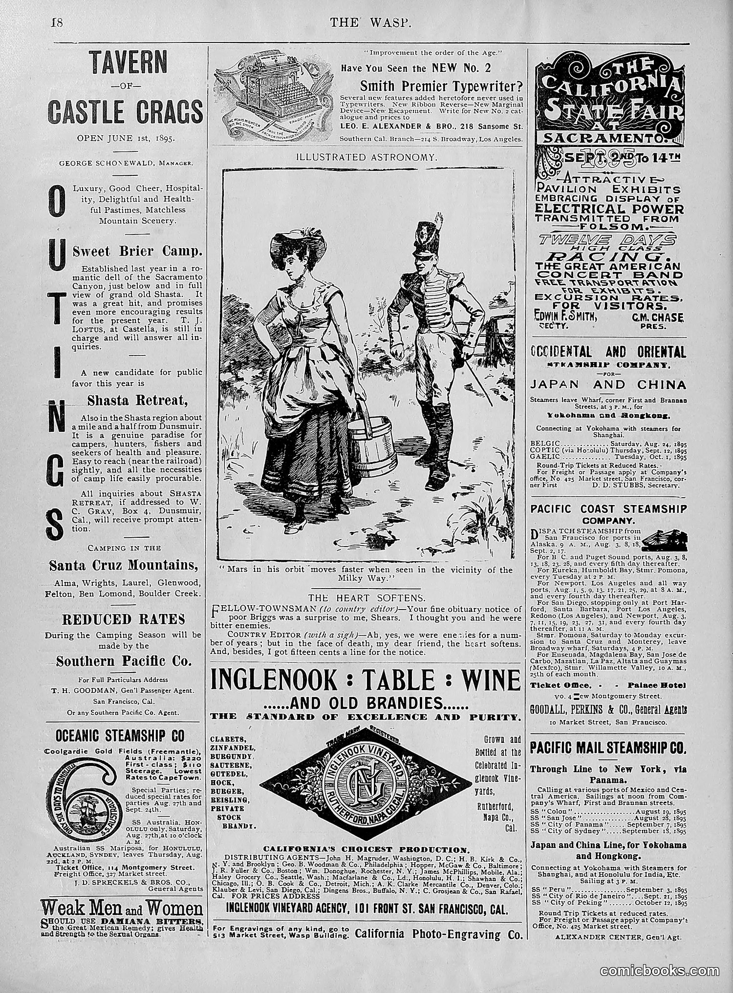 The Wasp — 1895 — page 653 of 1100